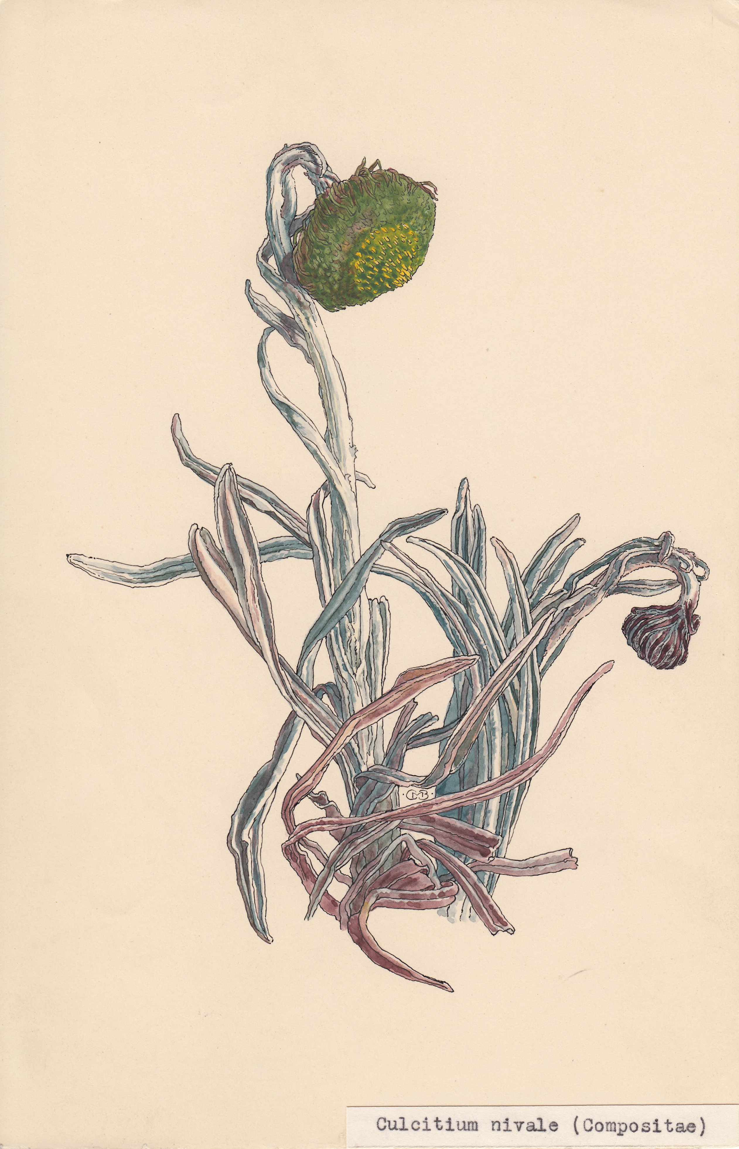 no full size  illustration available (3a)