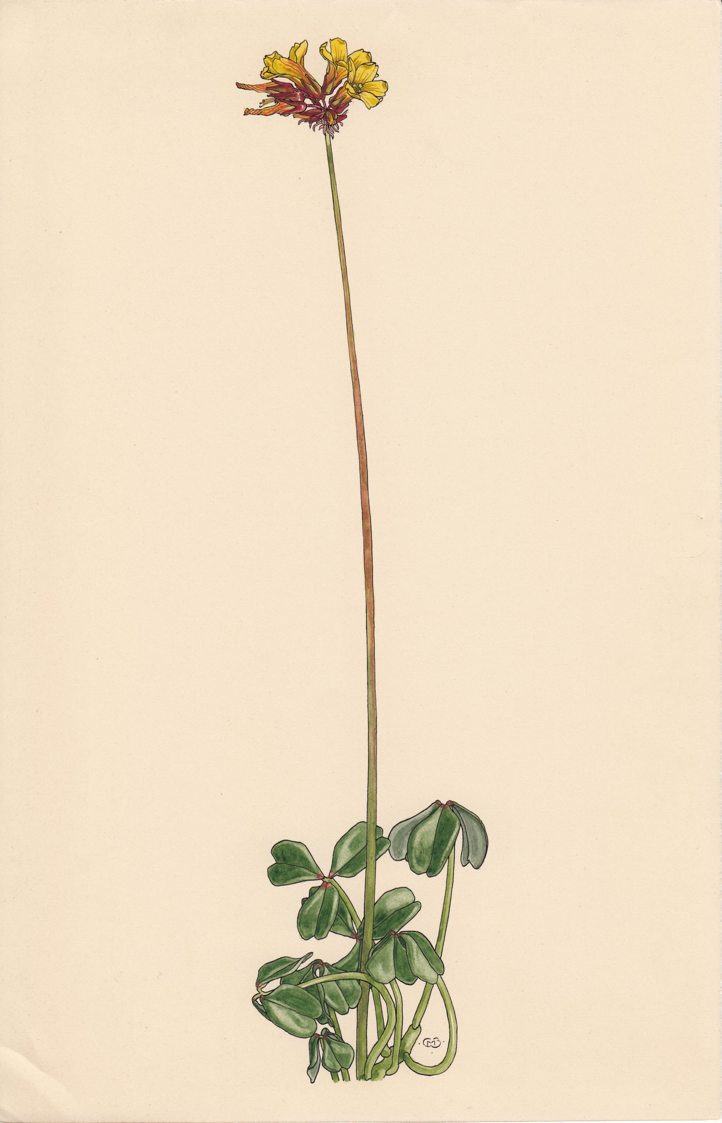 no full size  illustration available (3a)