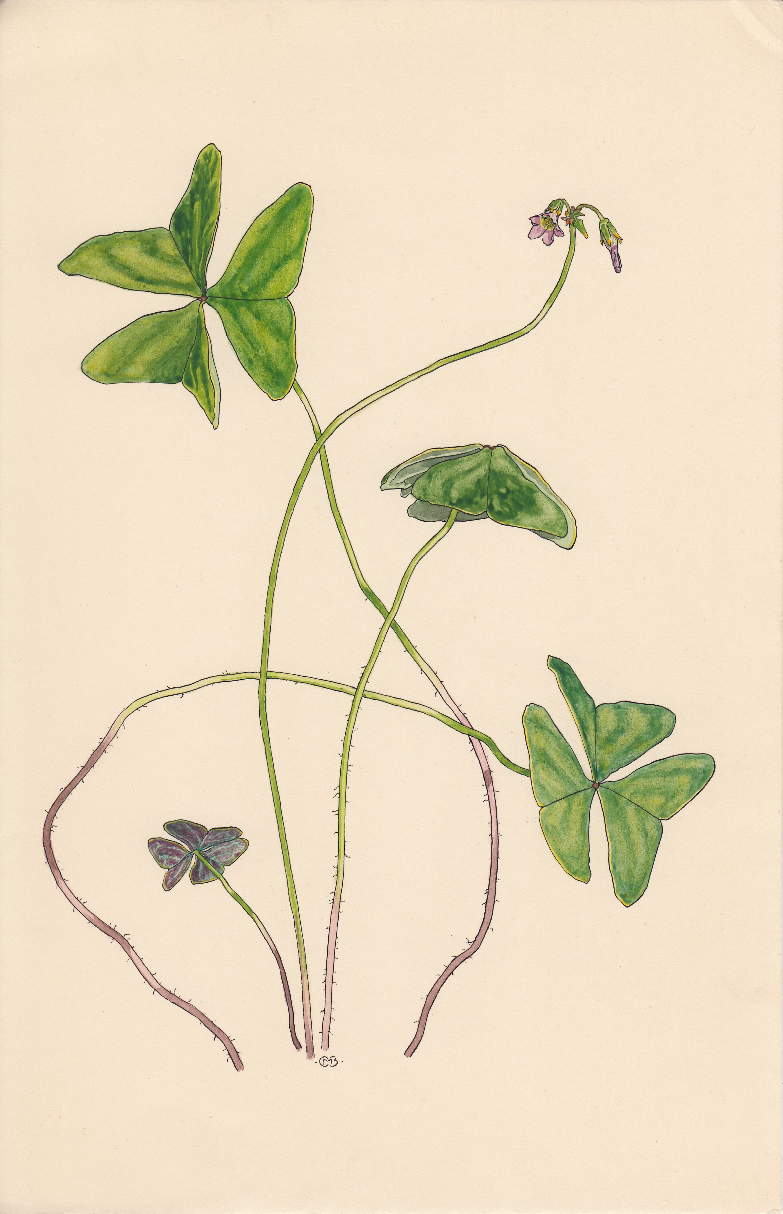 no full size  illustration available (3a)