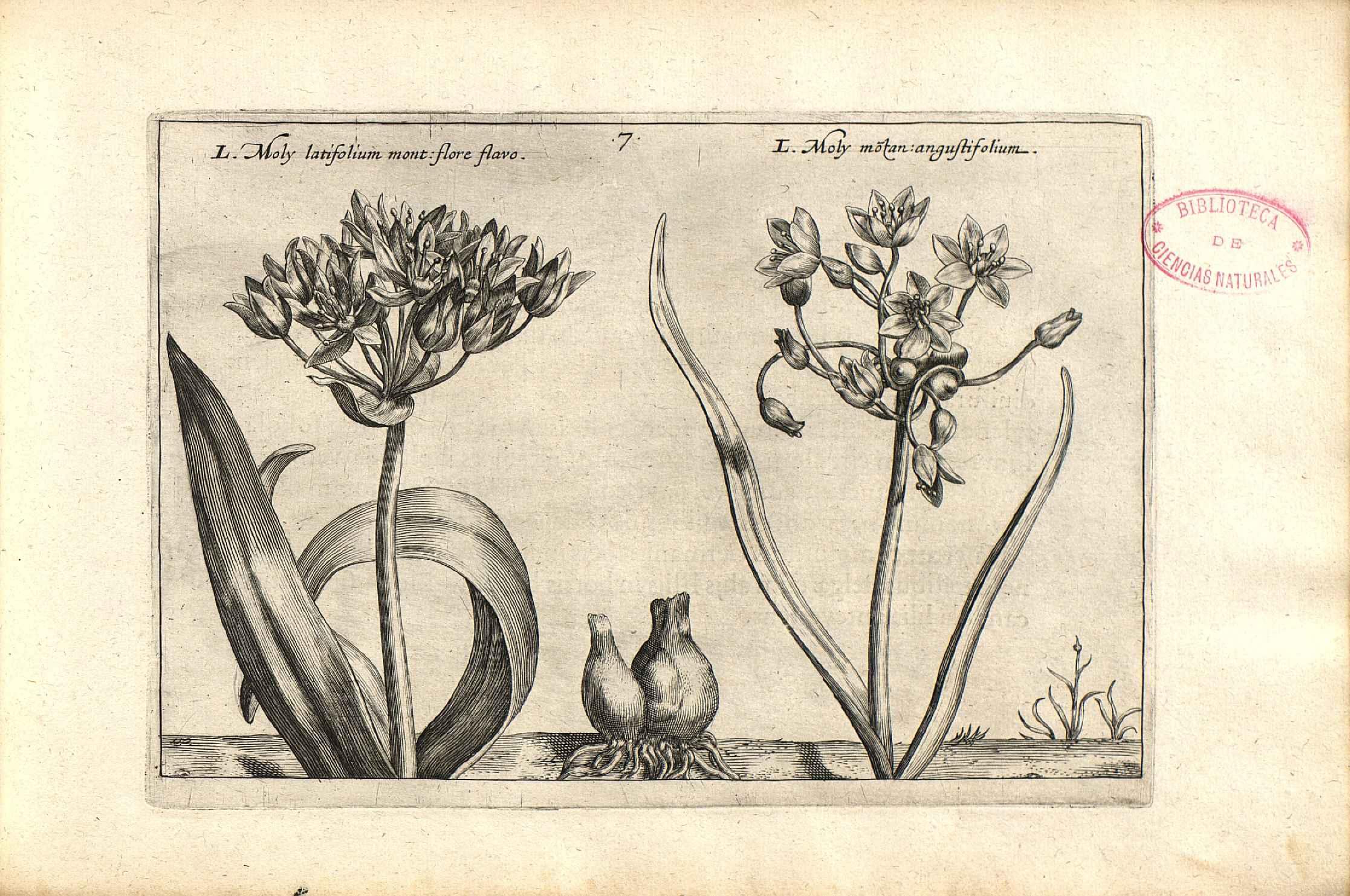 no full size  illustration available (3a)