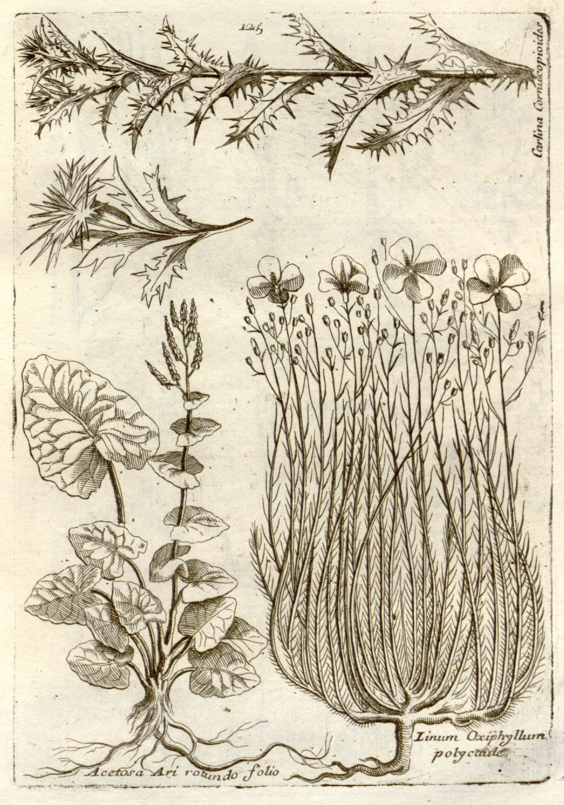 no full size  illustration available (3a)