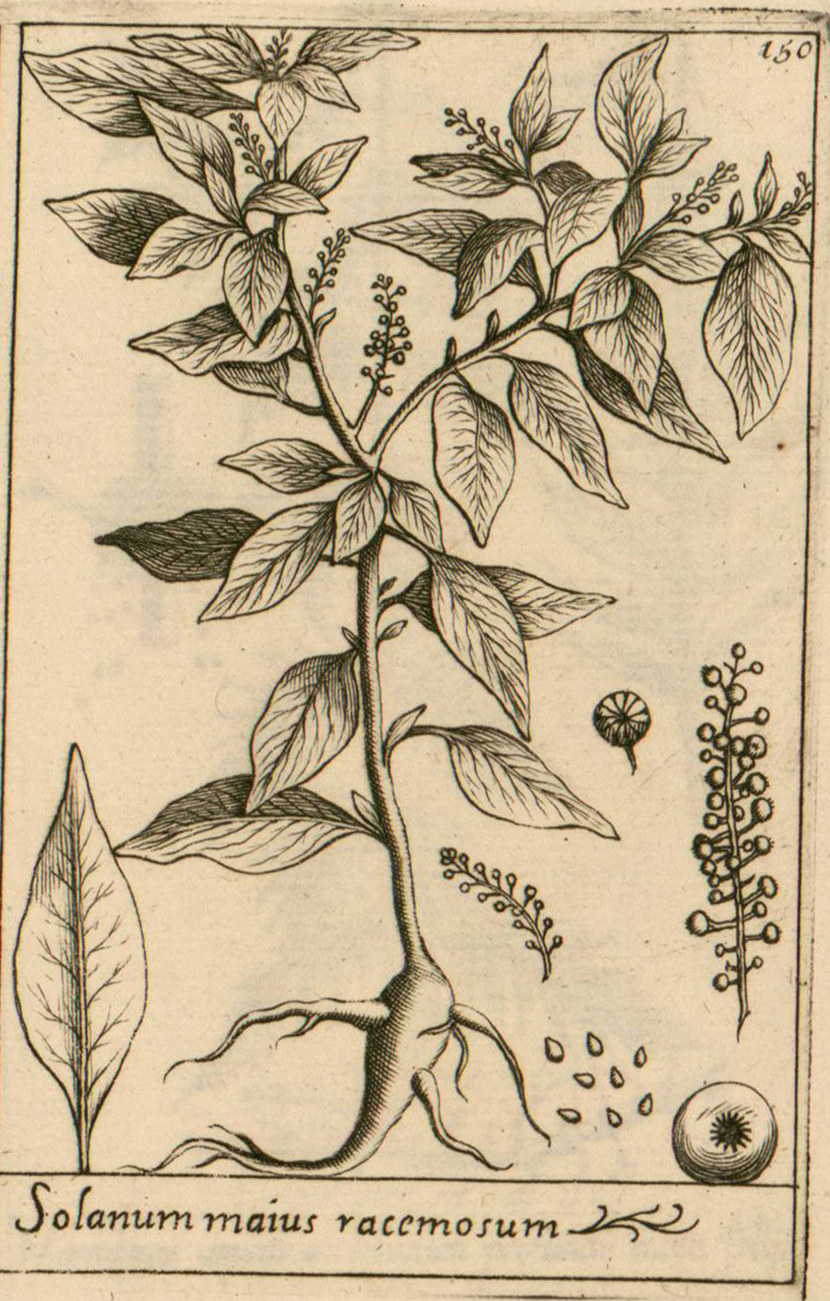 no full size  illustration available (3a)