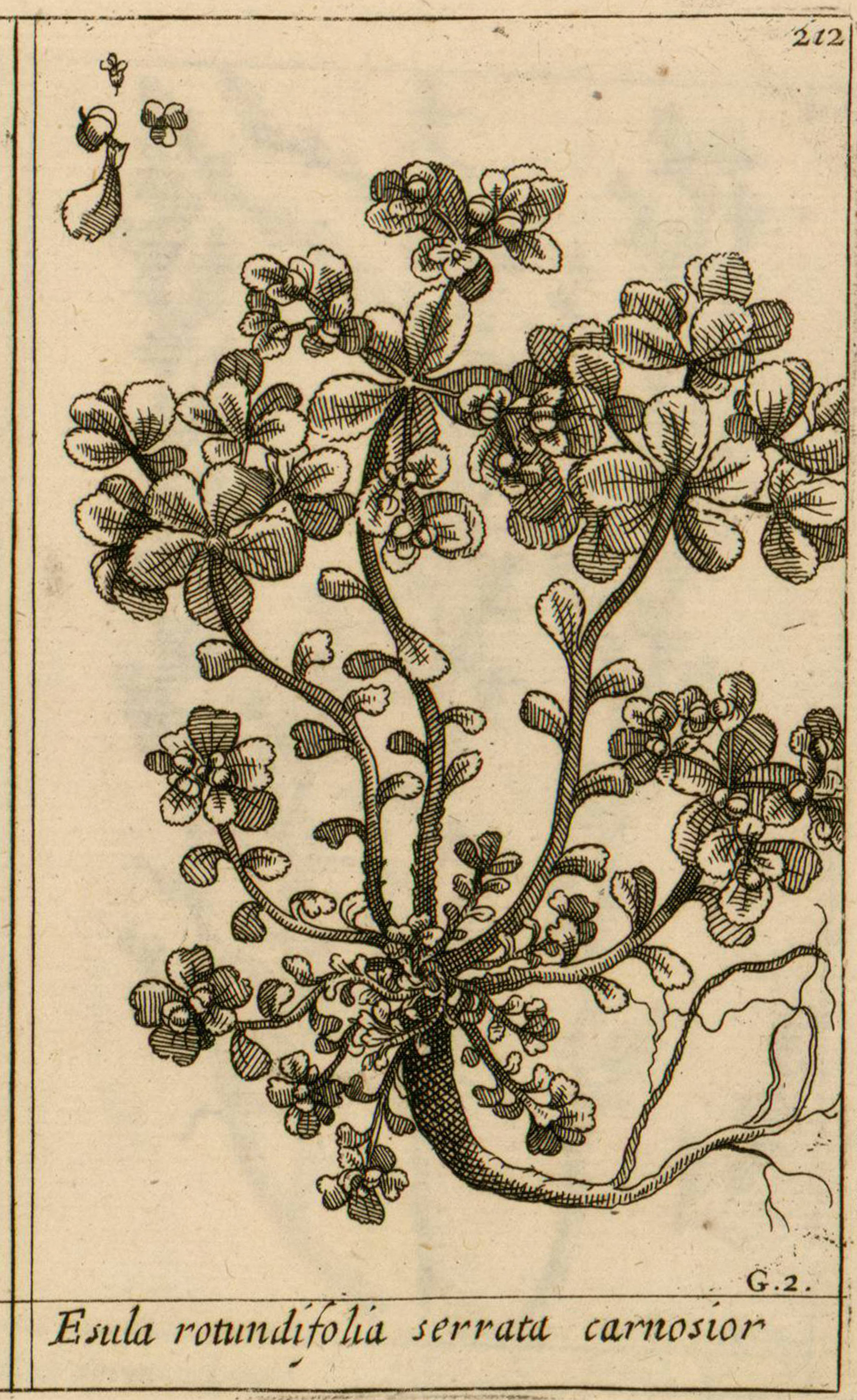 no full size  illustration available (3a)