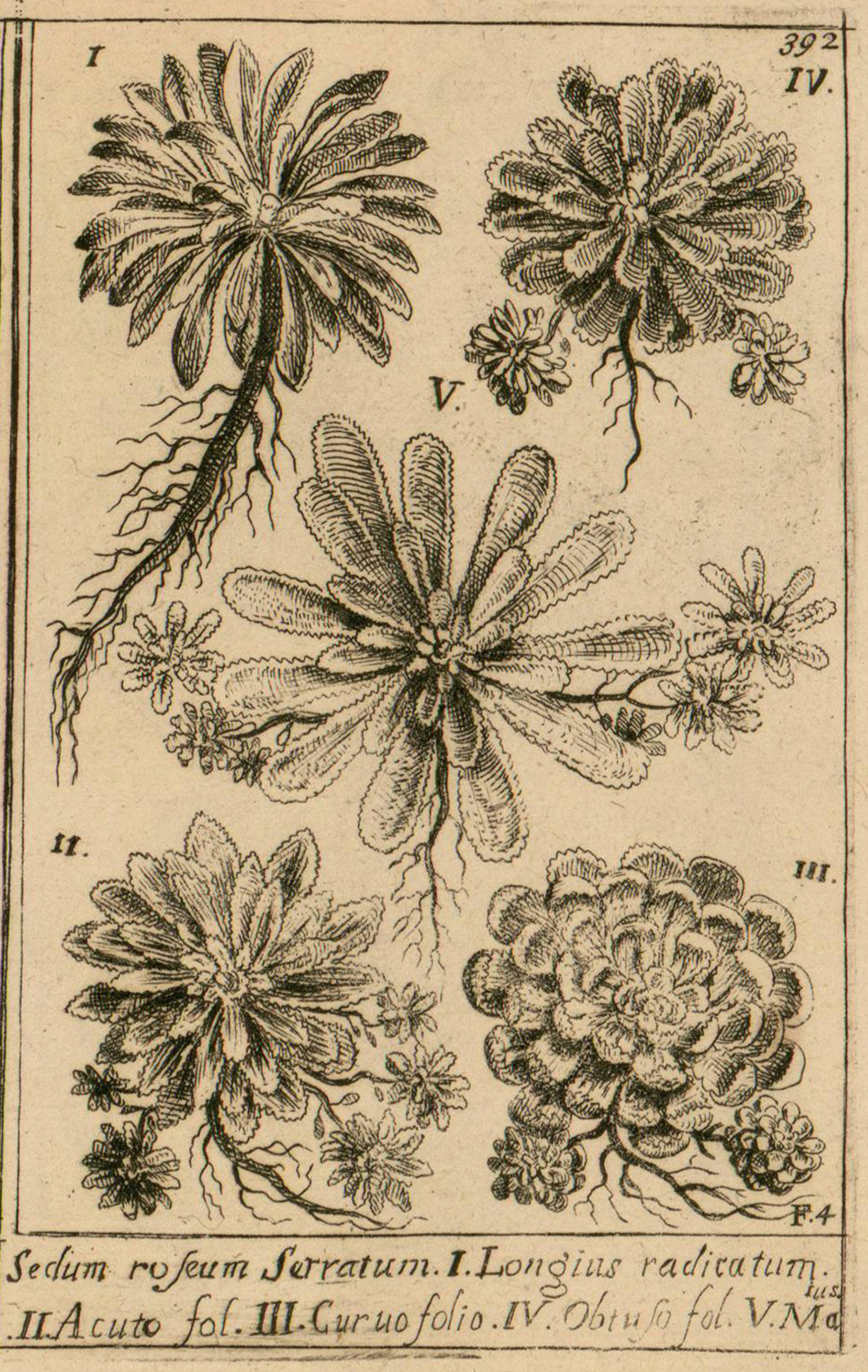 no full size  illustration available (3a)