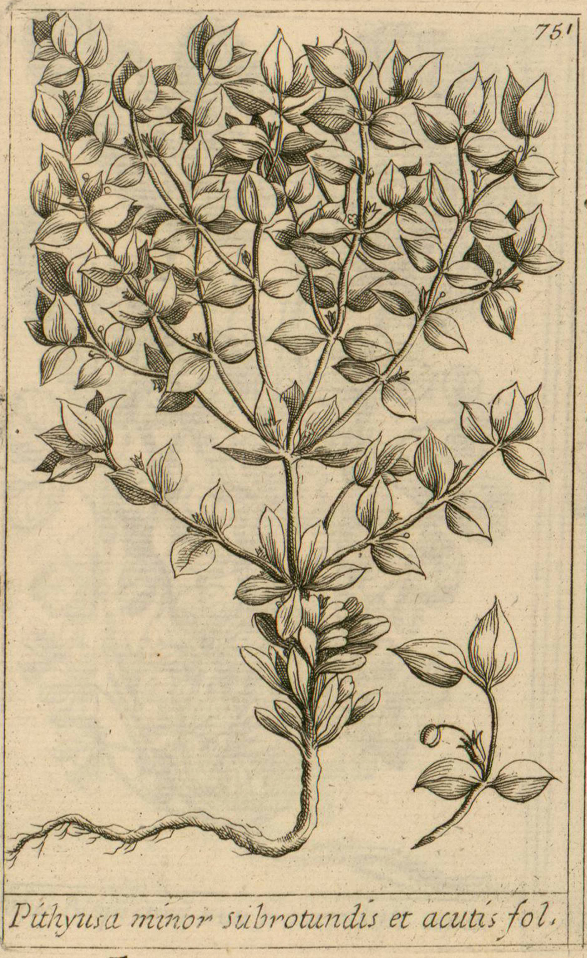 no full size  illustration available (3a)