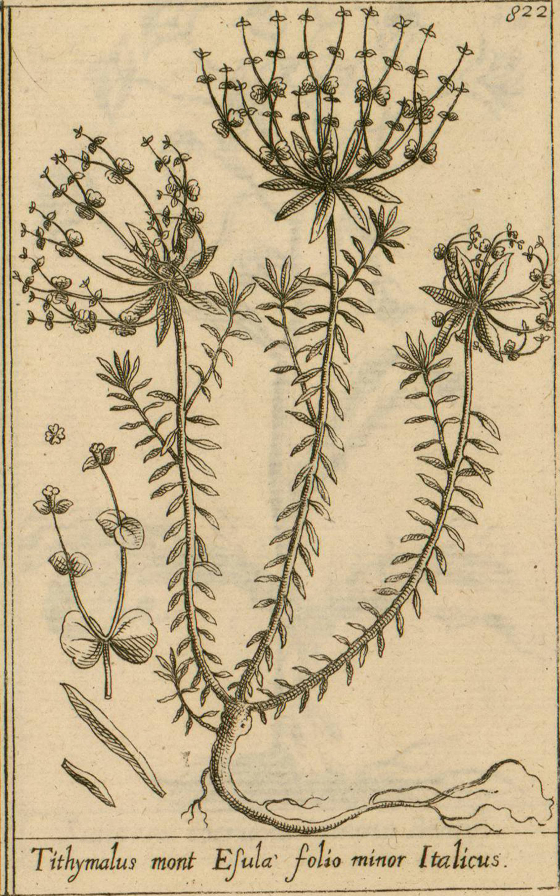 no full size  illustration available (3a)