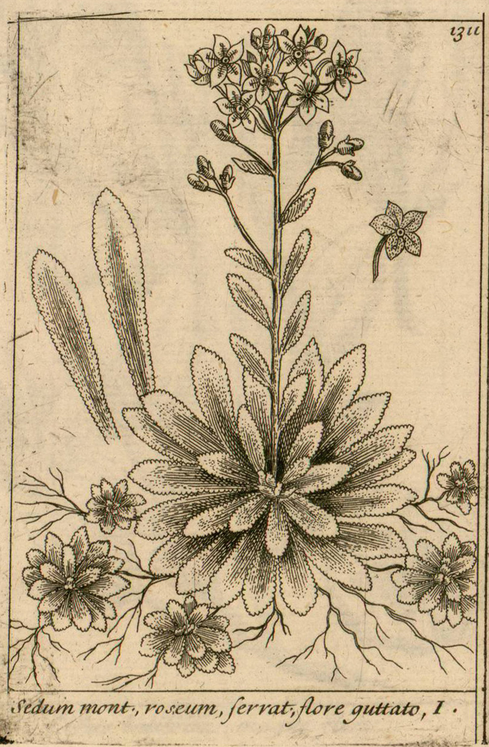 no full size  illustration available (3a)