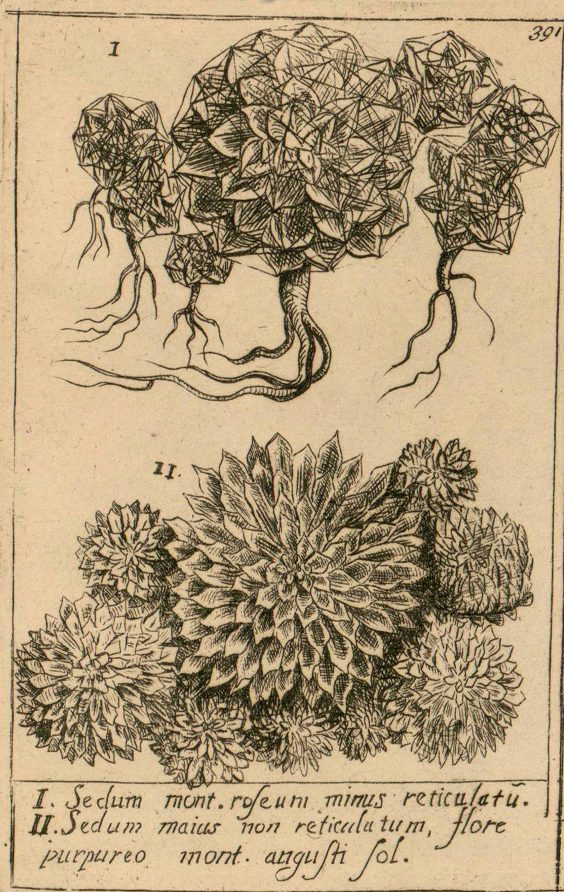 no full size  illustration available (3a)