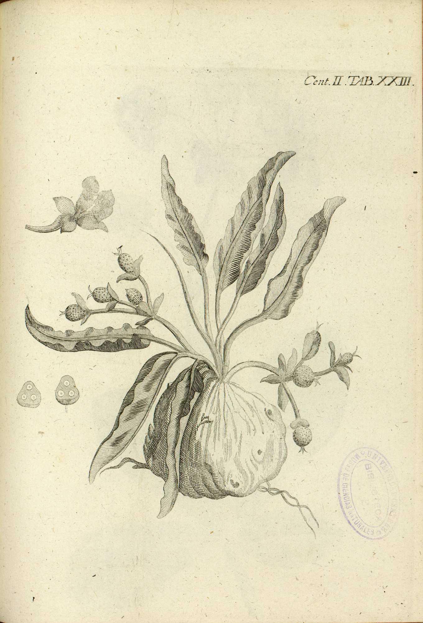 no full size  illustration available (3a)