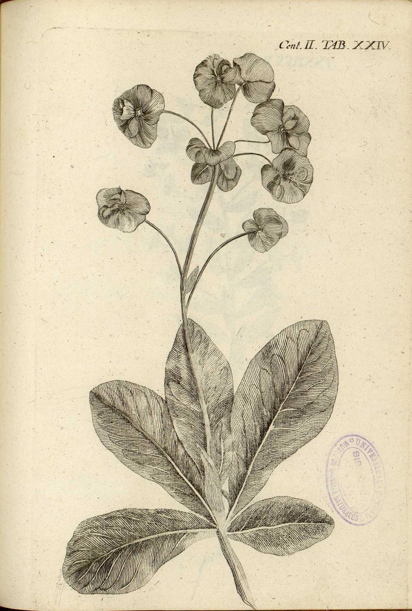 no full size  illustration available (3a)