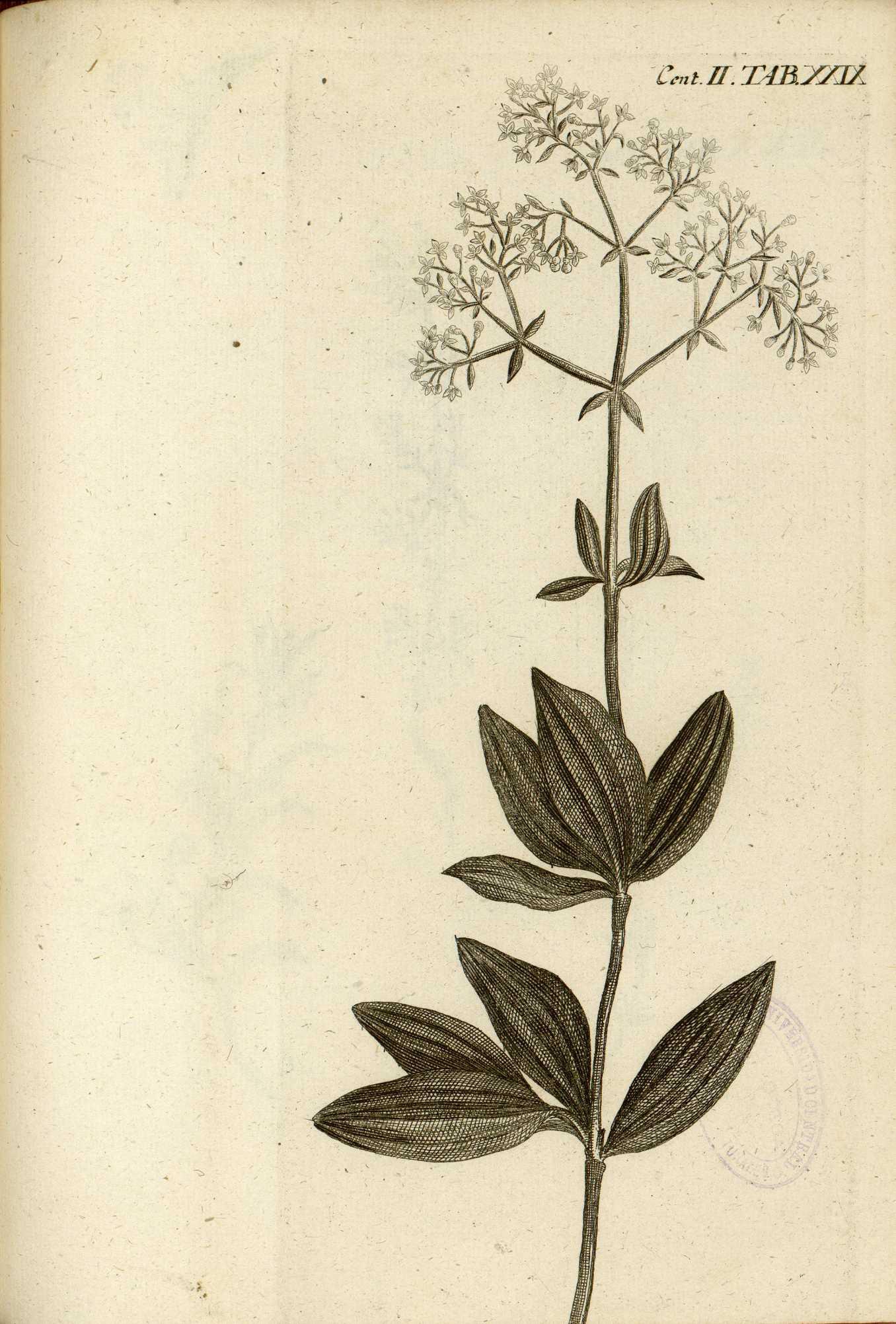 no full size  illustration available (3a)