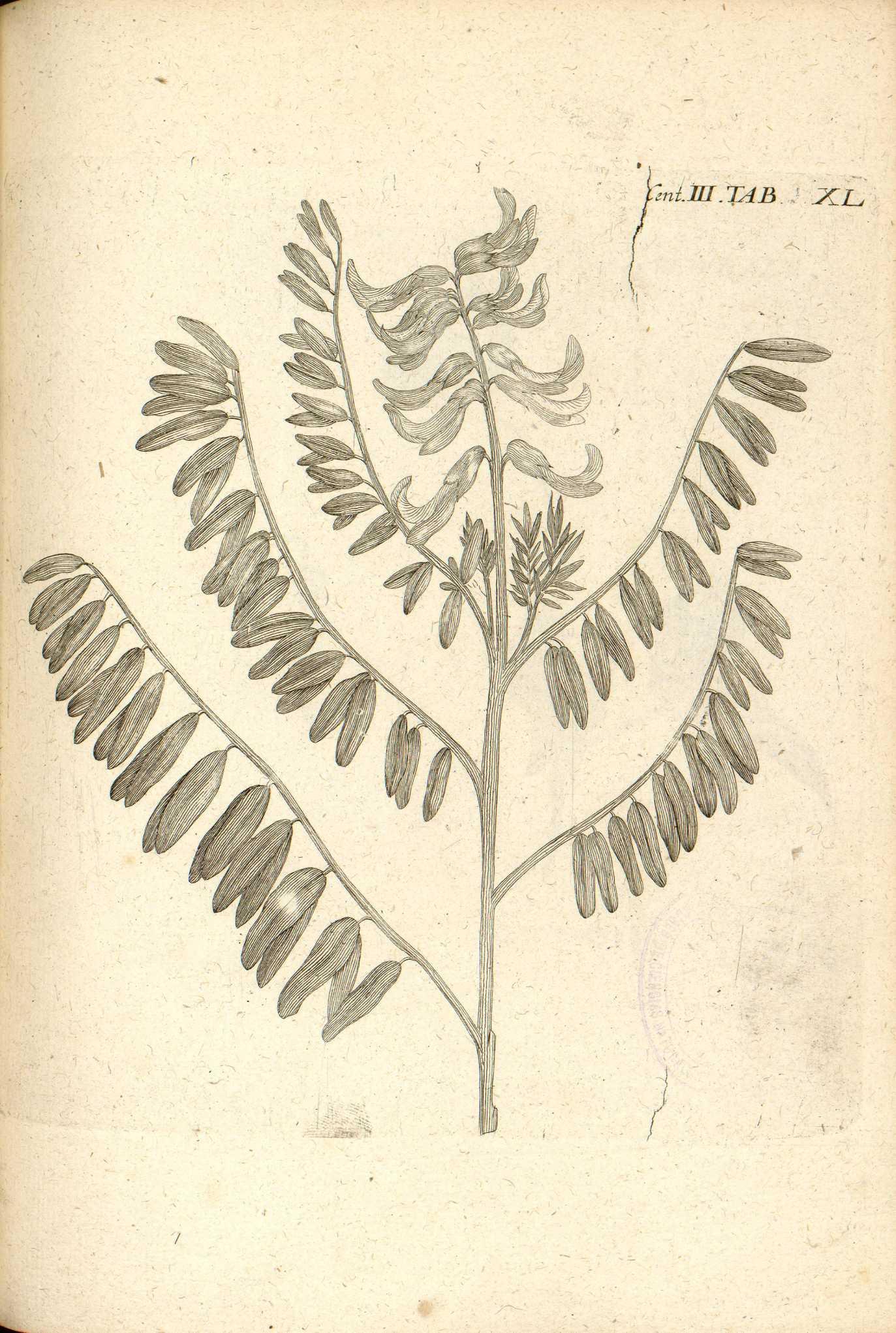 no full size  illustration available (3a)