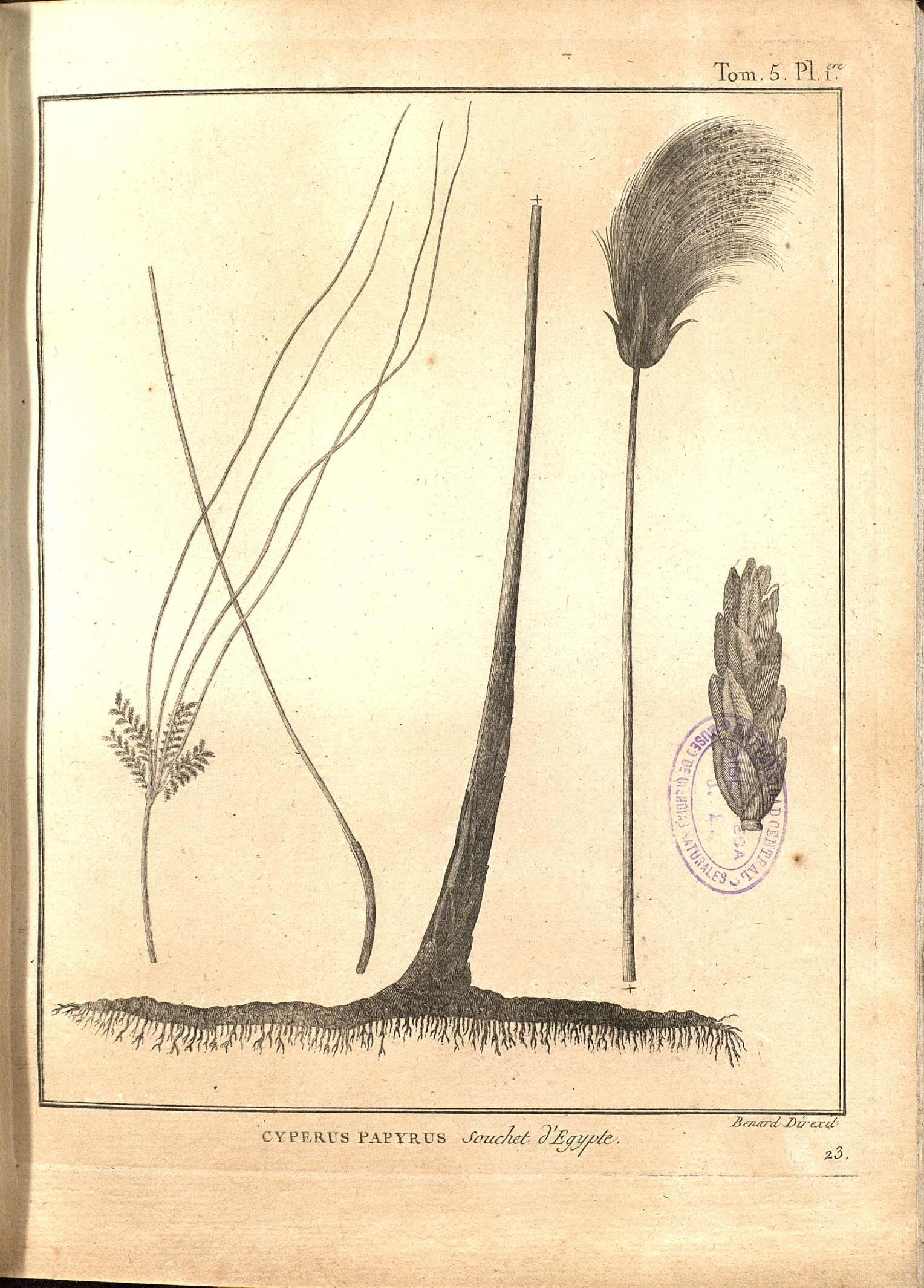 no full size  illustration available (3a)