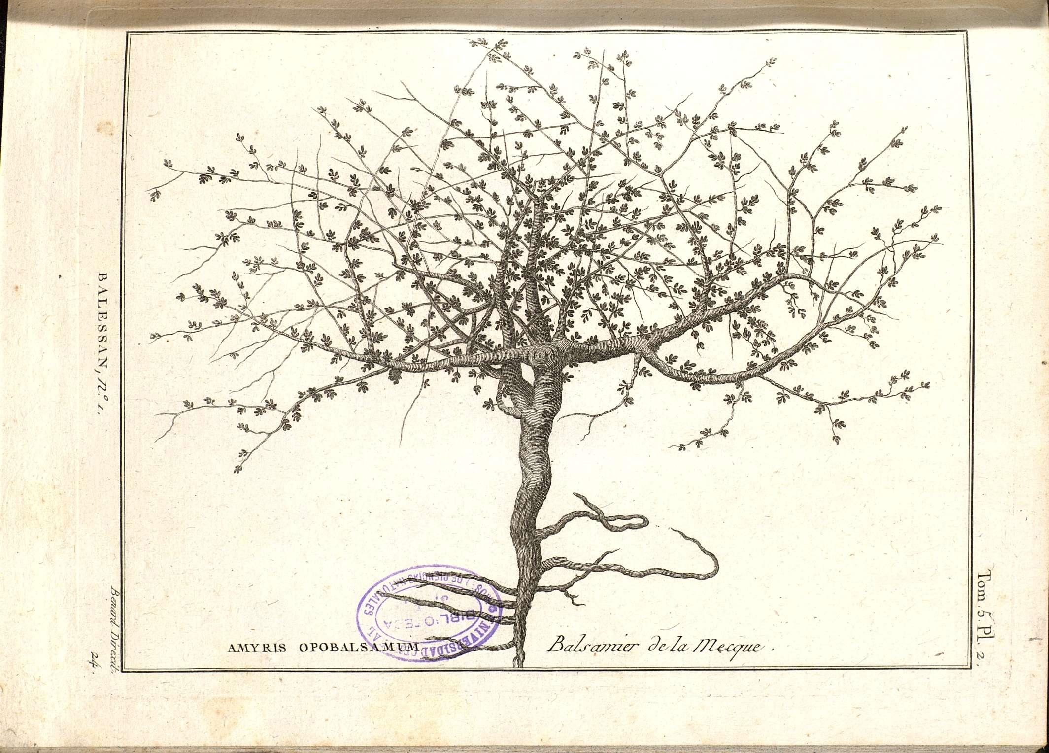 no full size  illustration available (3a)