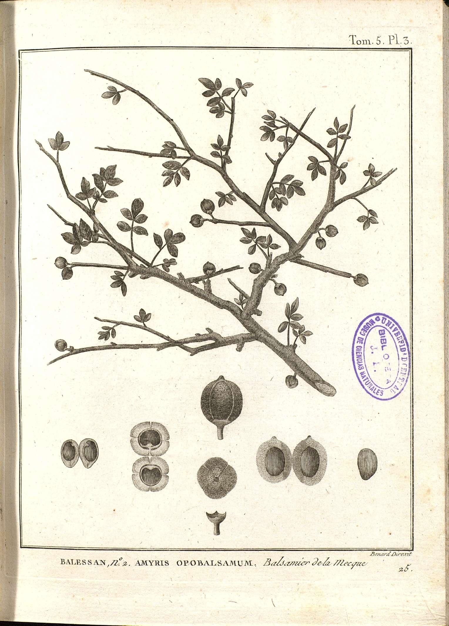 no full size  illustration available (3a)