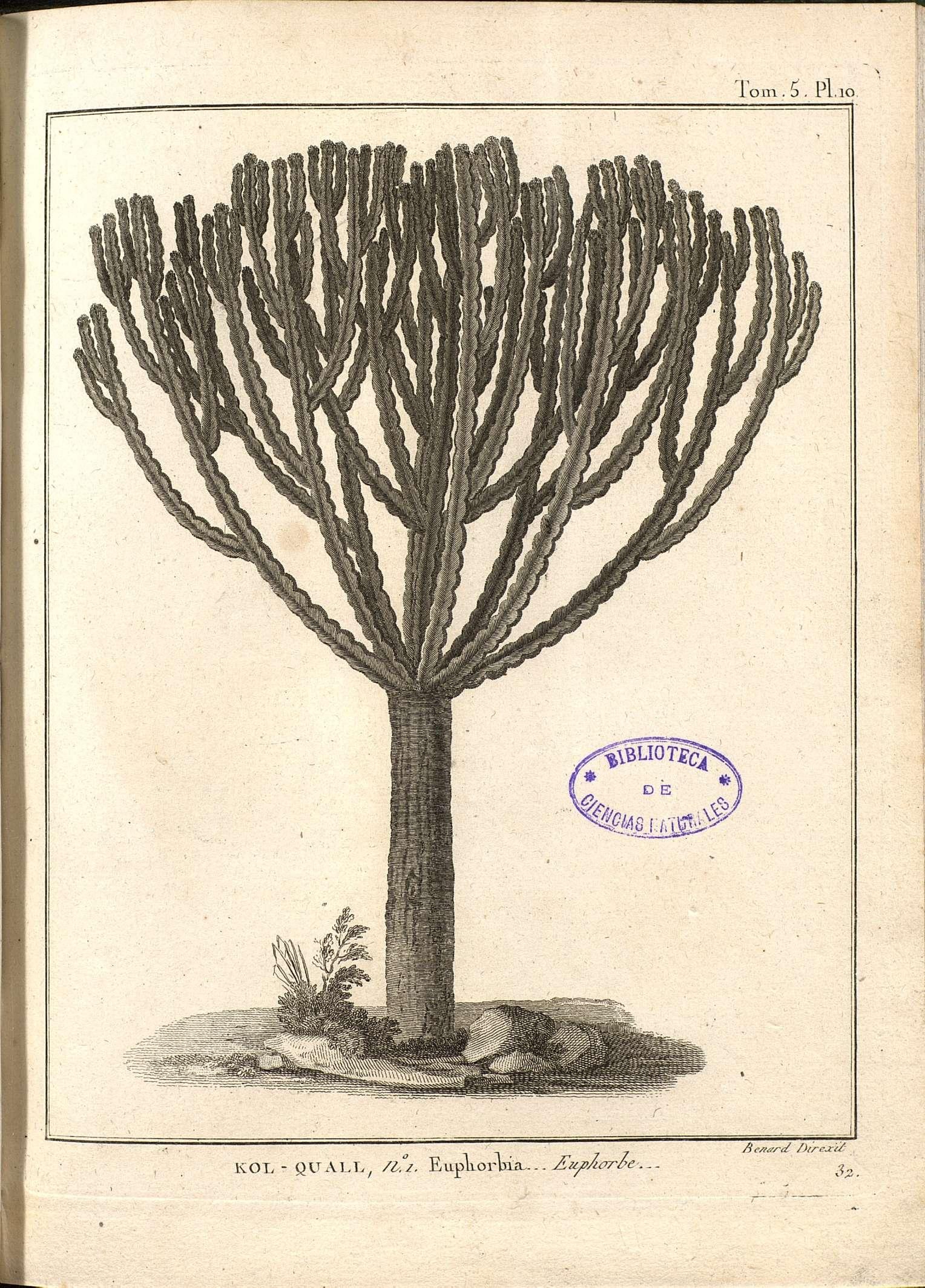 no full size  illustration available (3a)