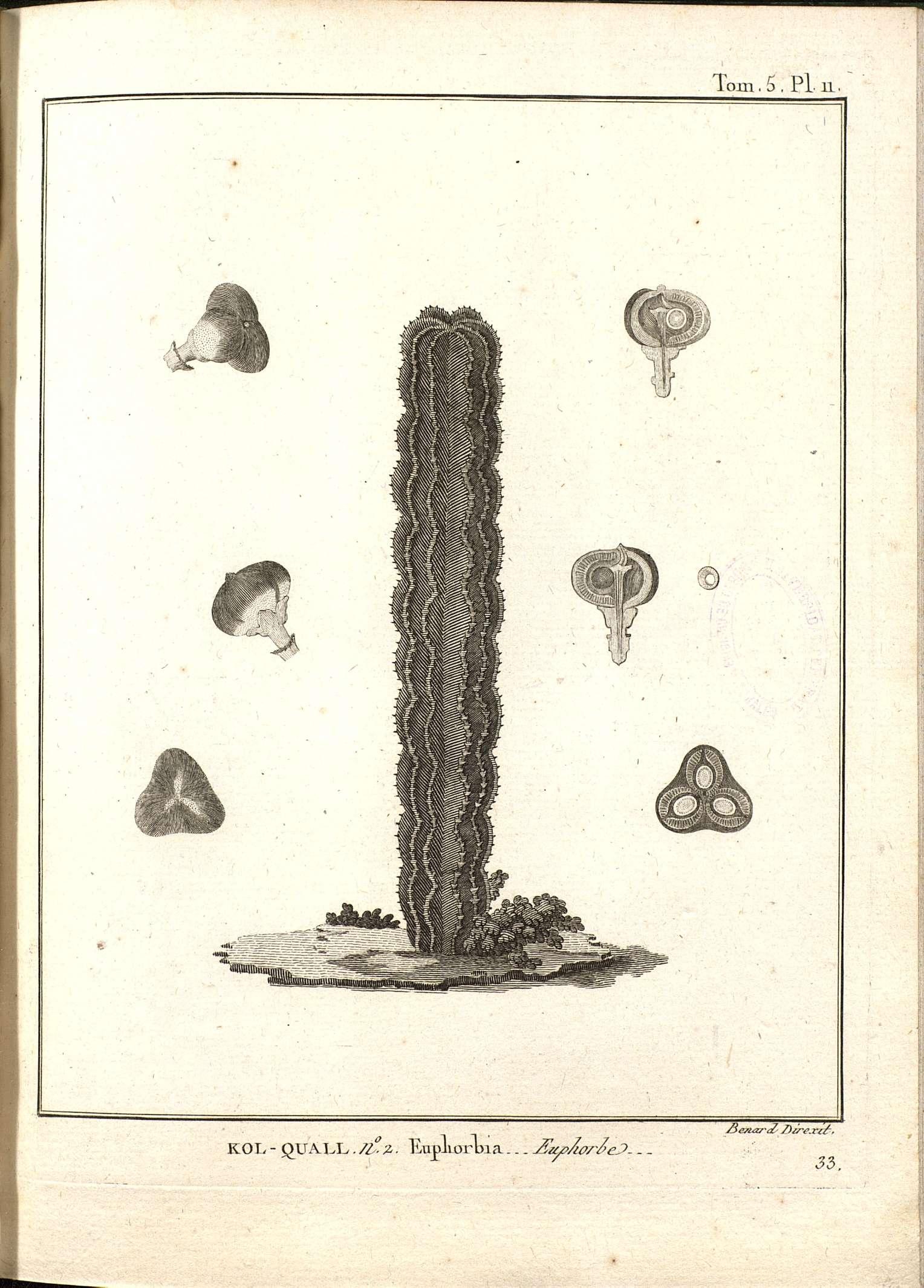 no full size  illustration available (3a)