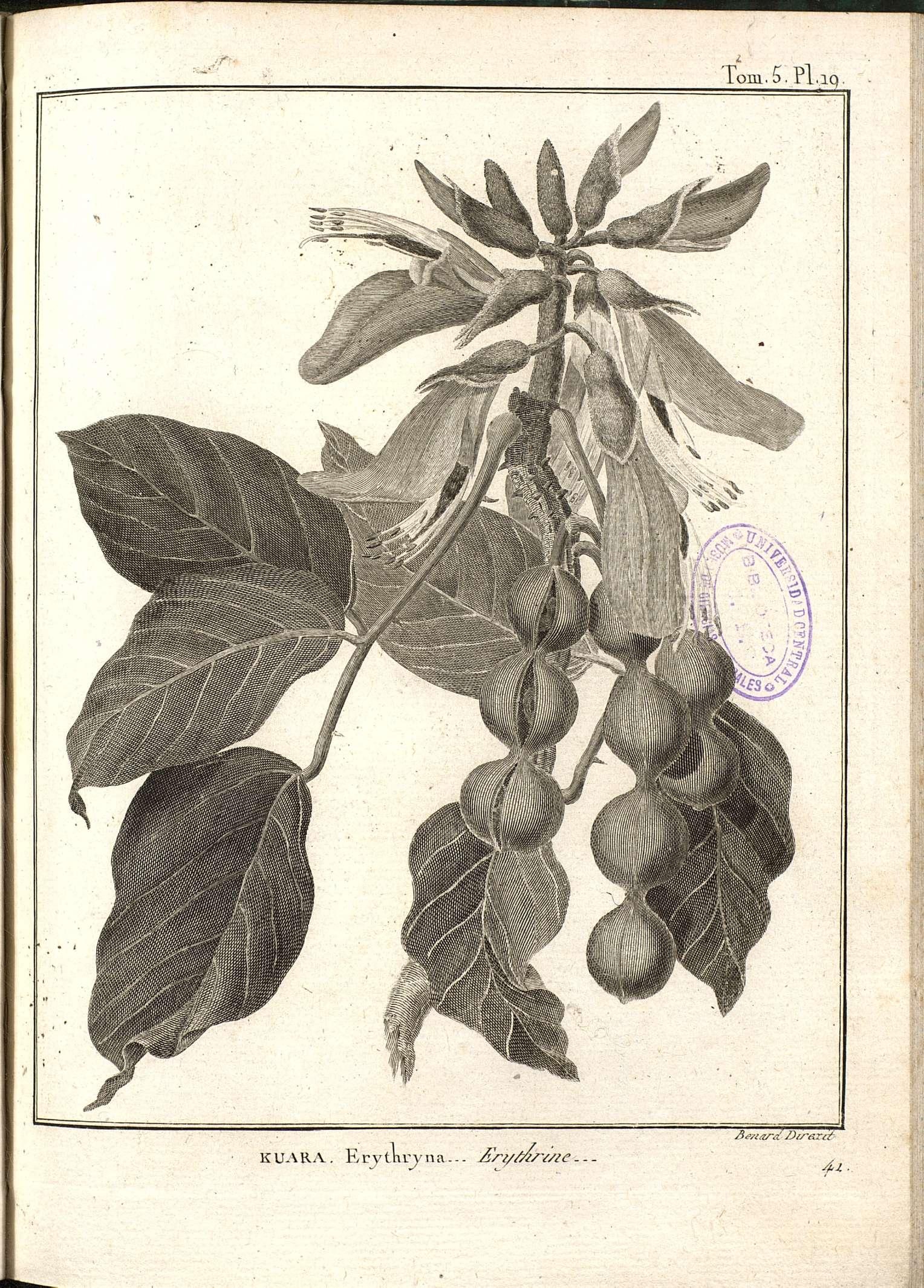 no full size  illustration available (3a)