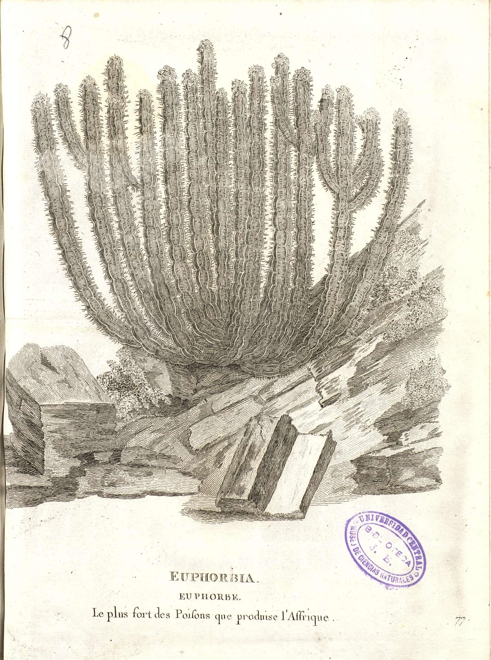 no full size  illustration available (3a)