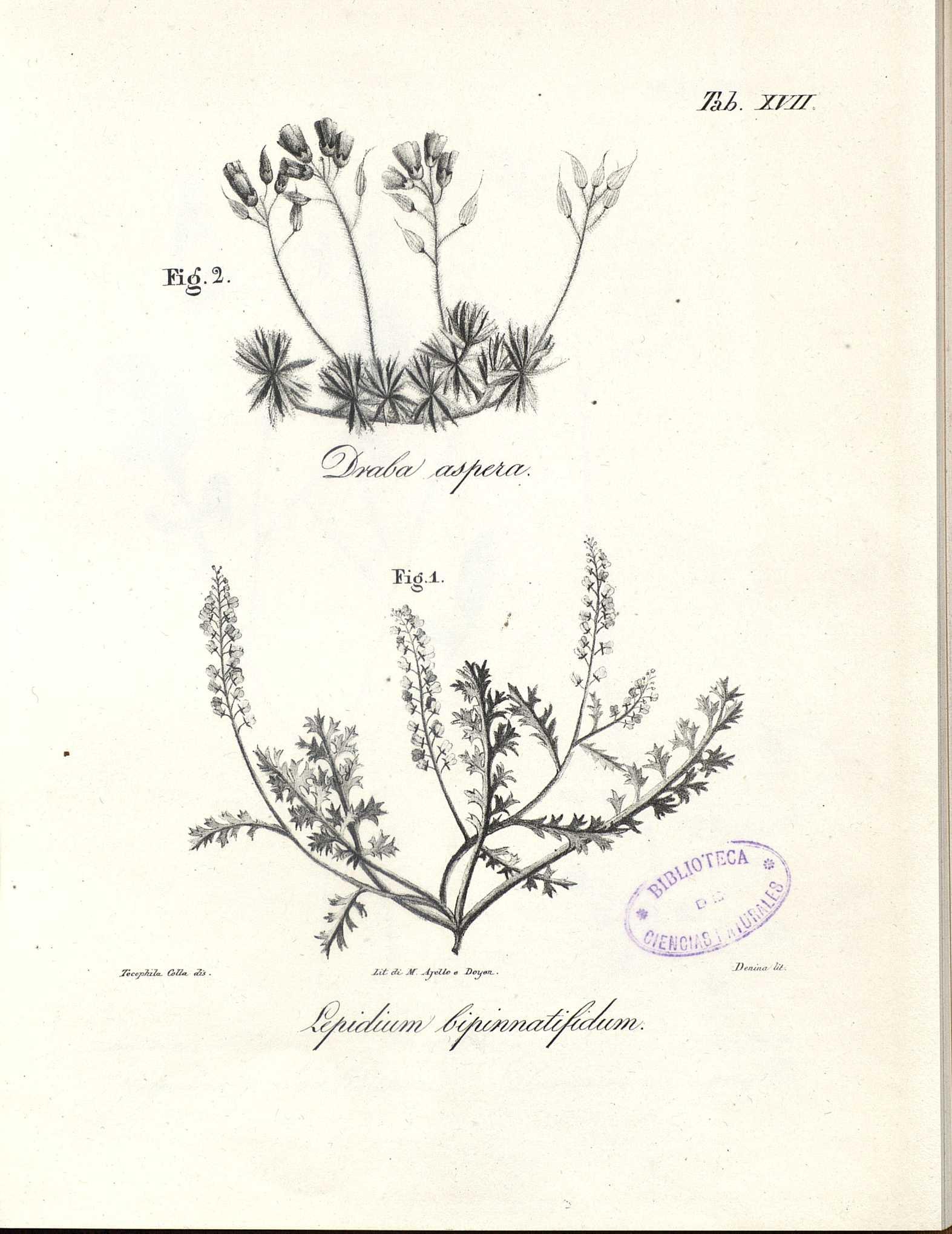 no full size  illustration available (3a)