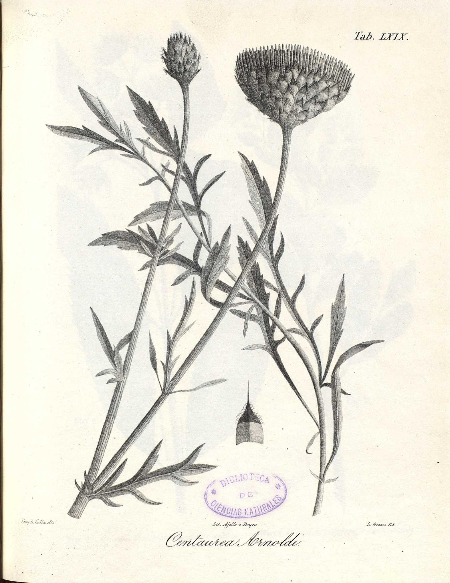 no full size  illustration available (3a)