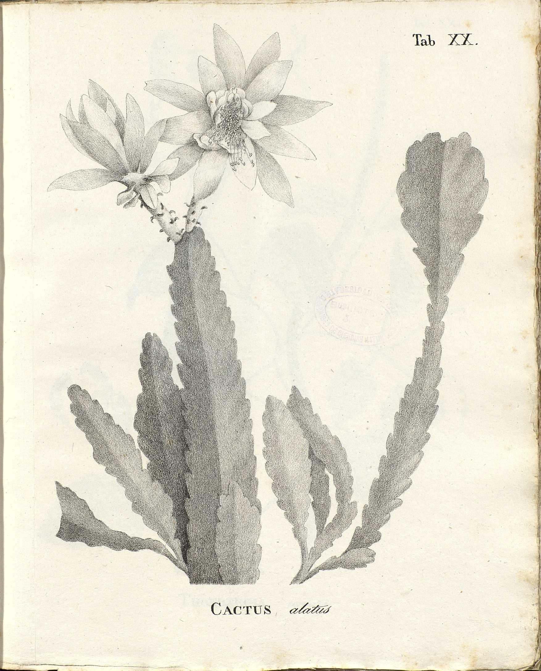 no full size  illustration available (3a)