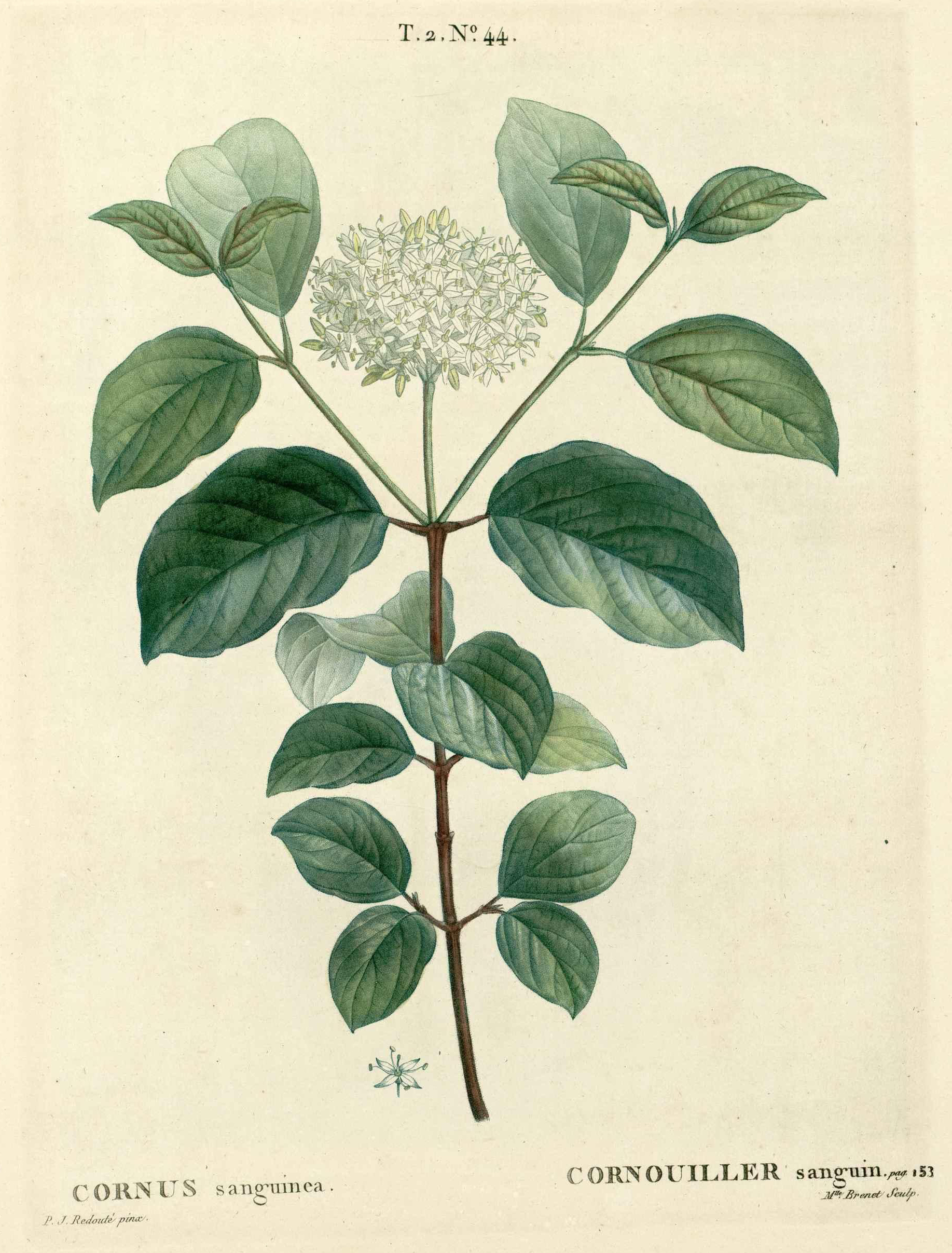 no full size  illustration available (3a)