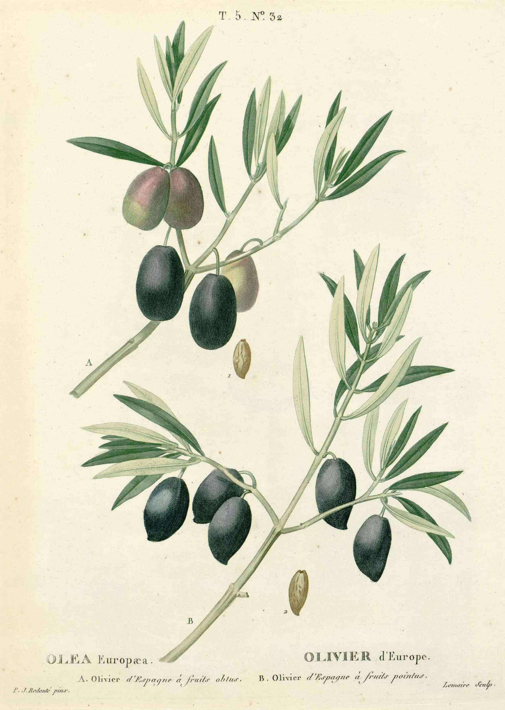 no full size  illustration available (3a)