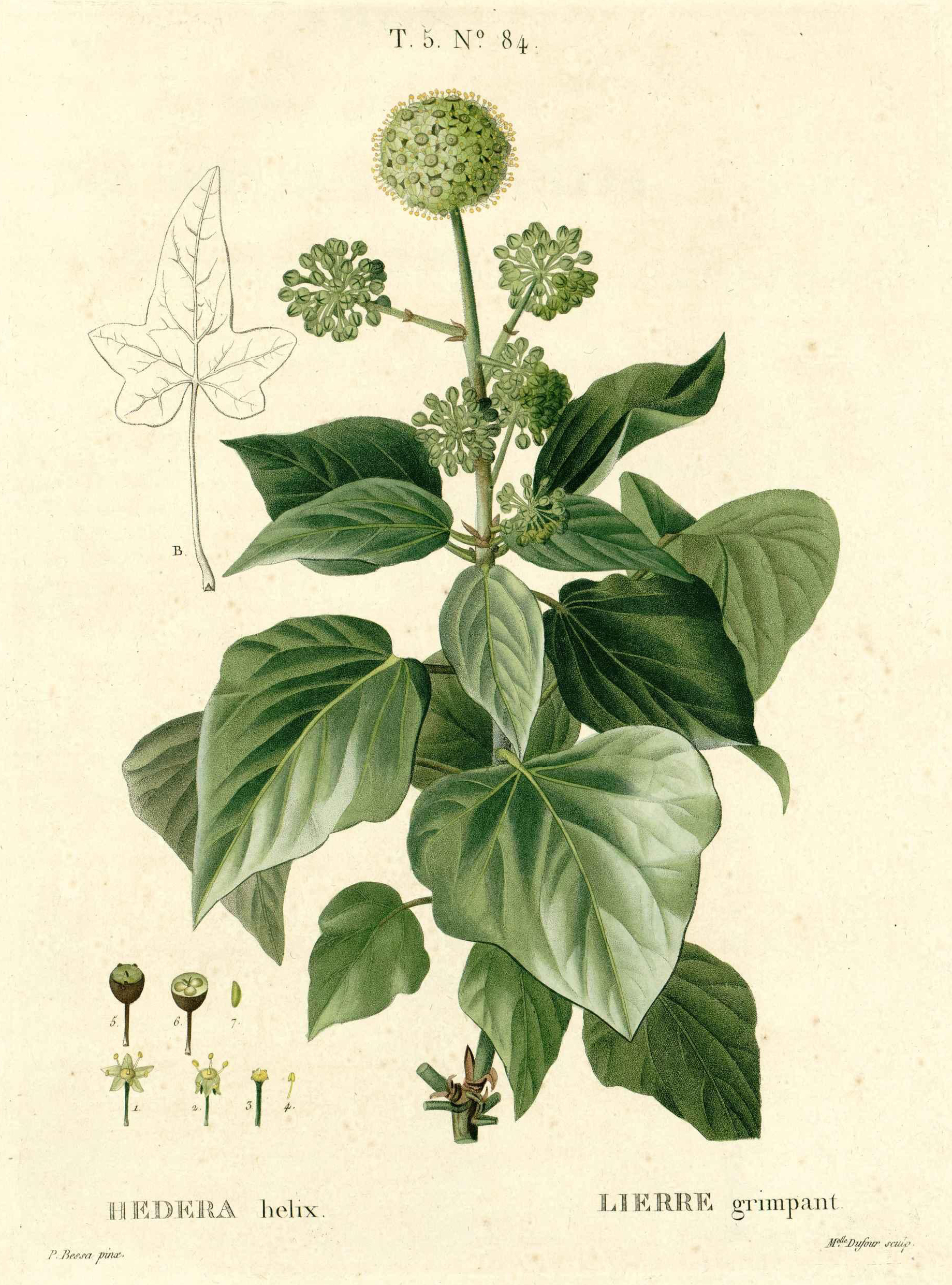 no full size  illustration available (3a)