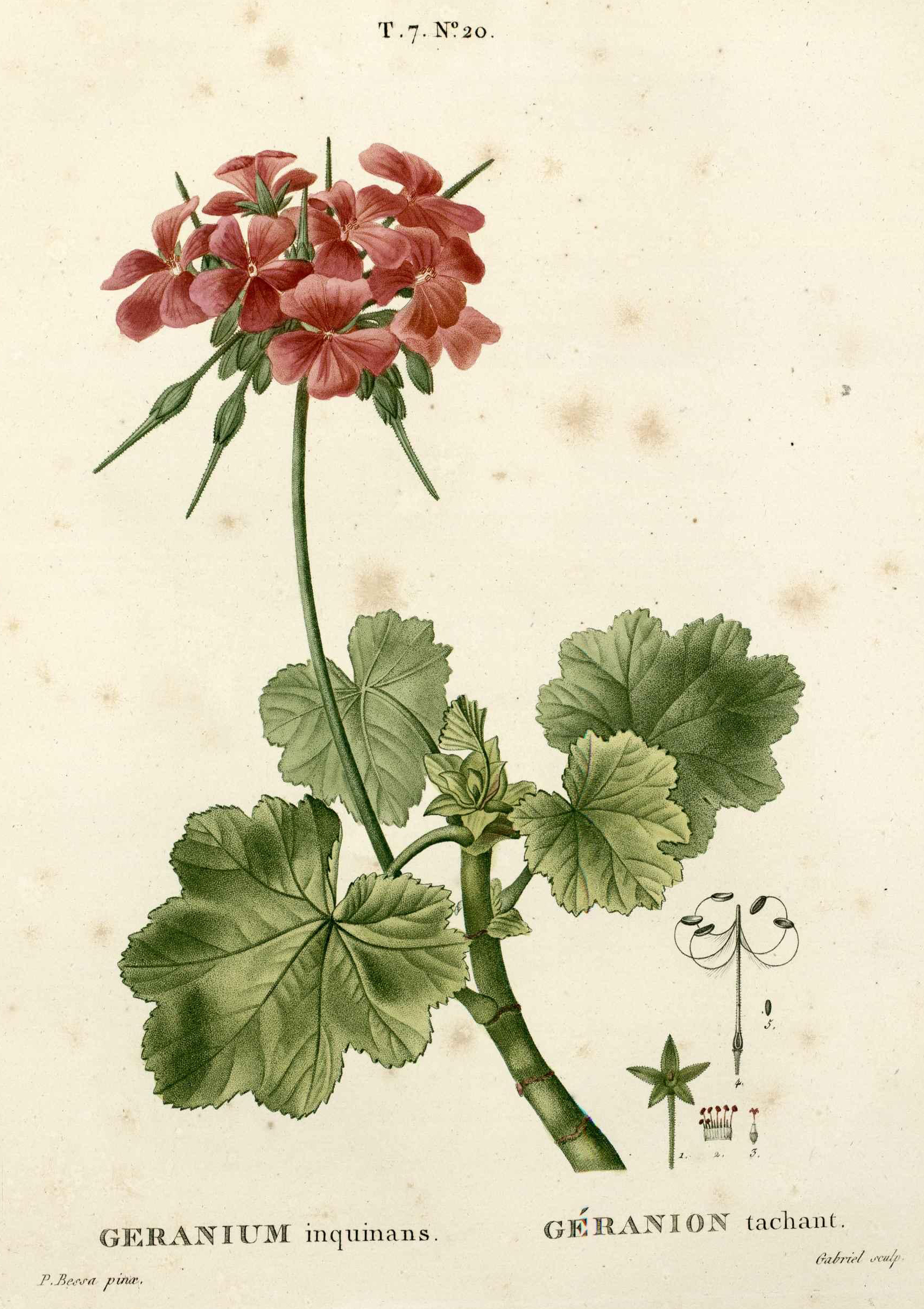 no full size  illustration available (3a)