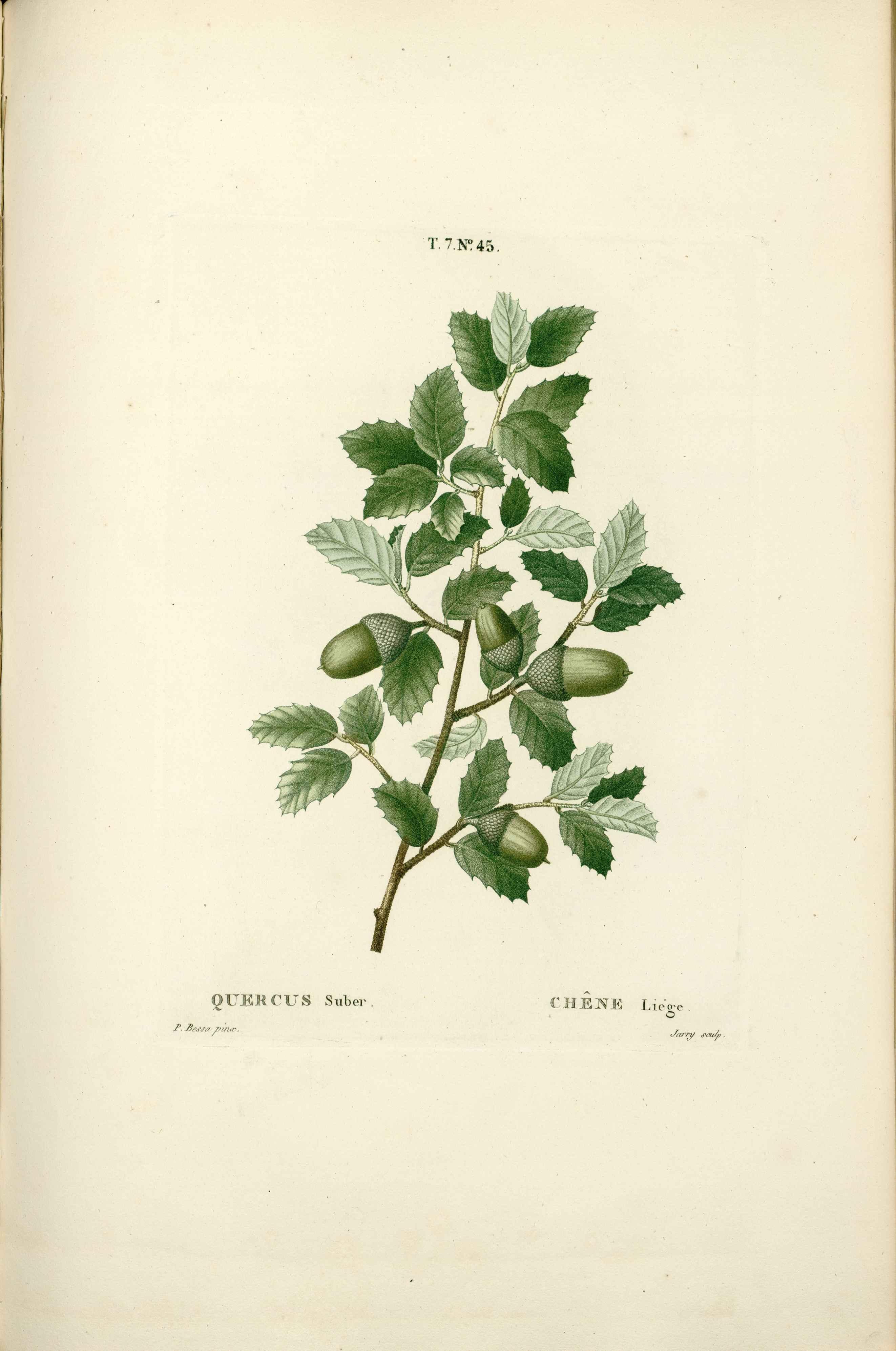 no full size  illustration available (3a)