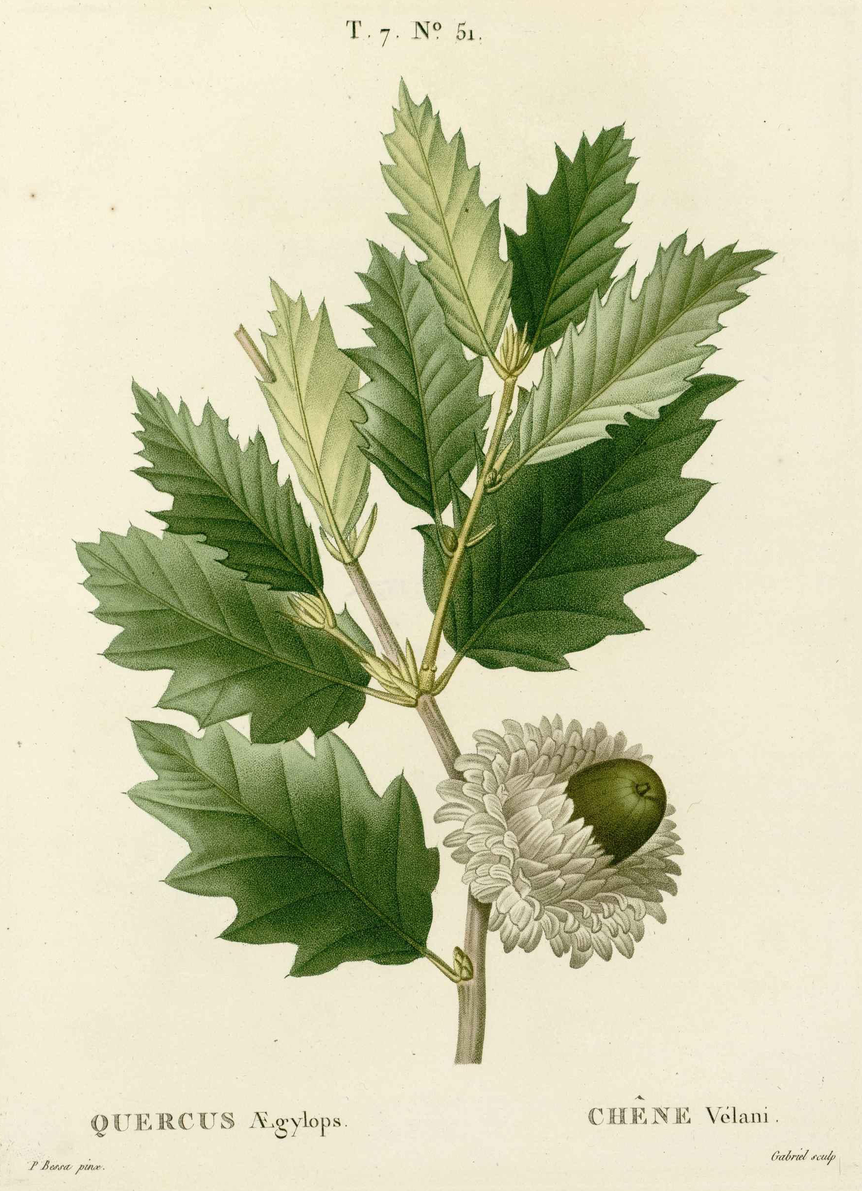 no full size  illustration available (3a)