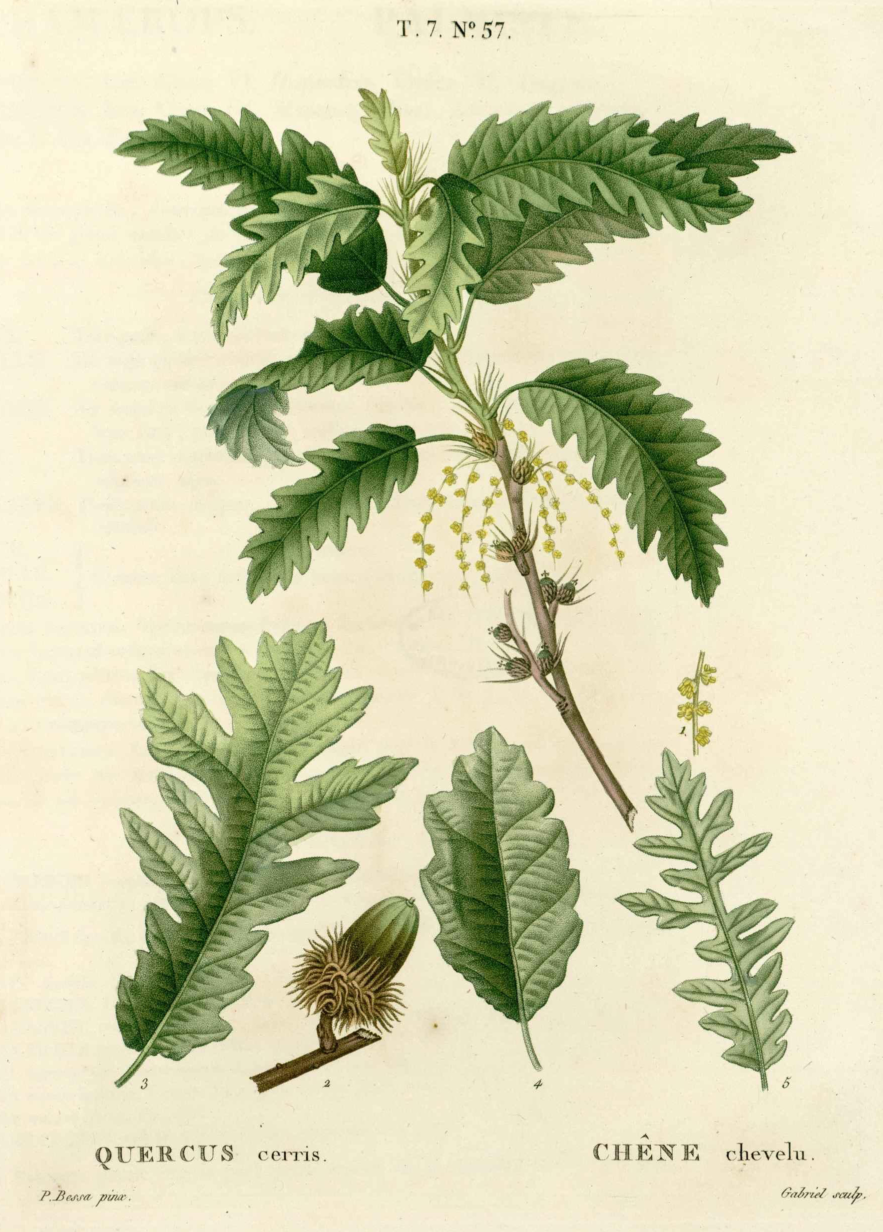 no full size  illustration available (3a)