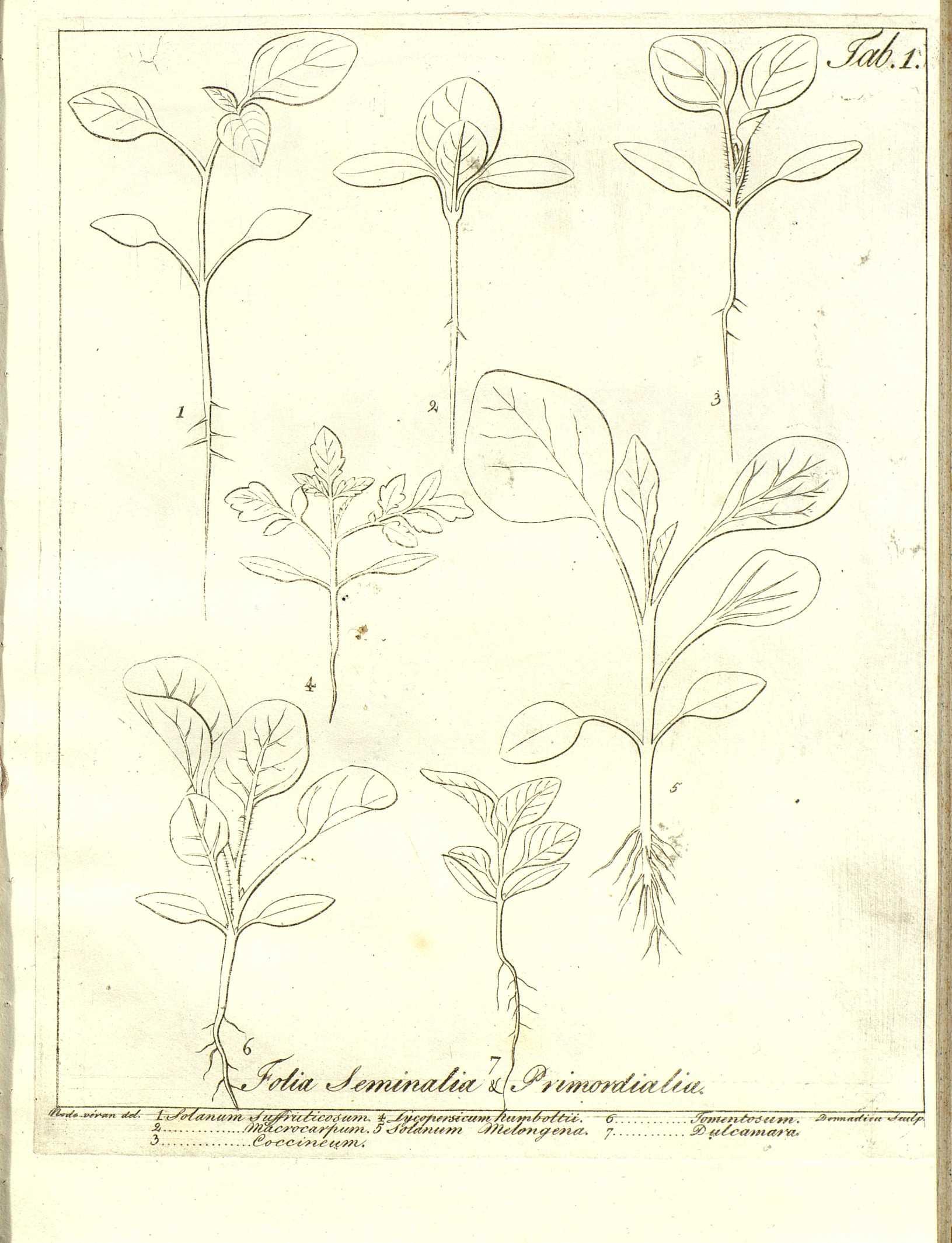 no full size  illustration available (3a)