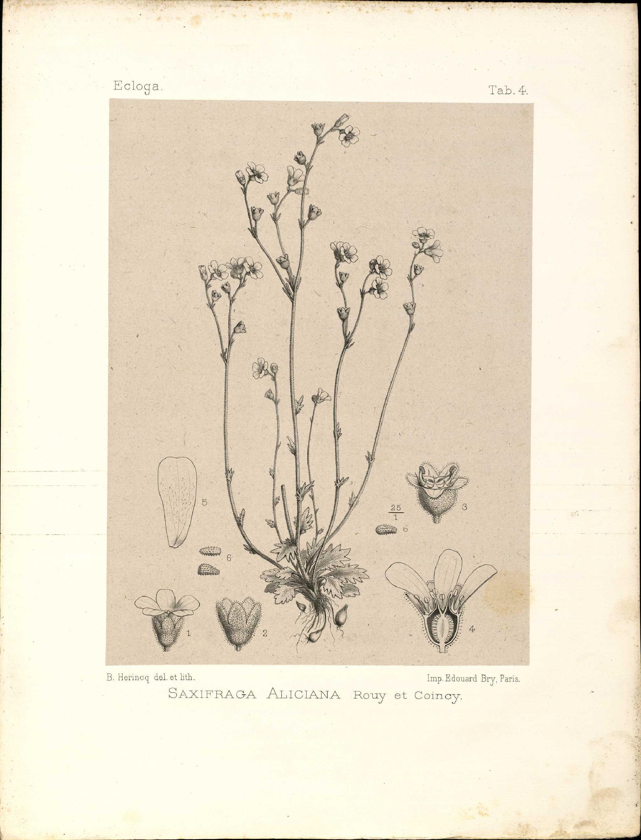 no full size  illustration available (3a)