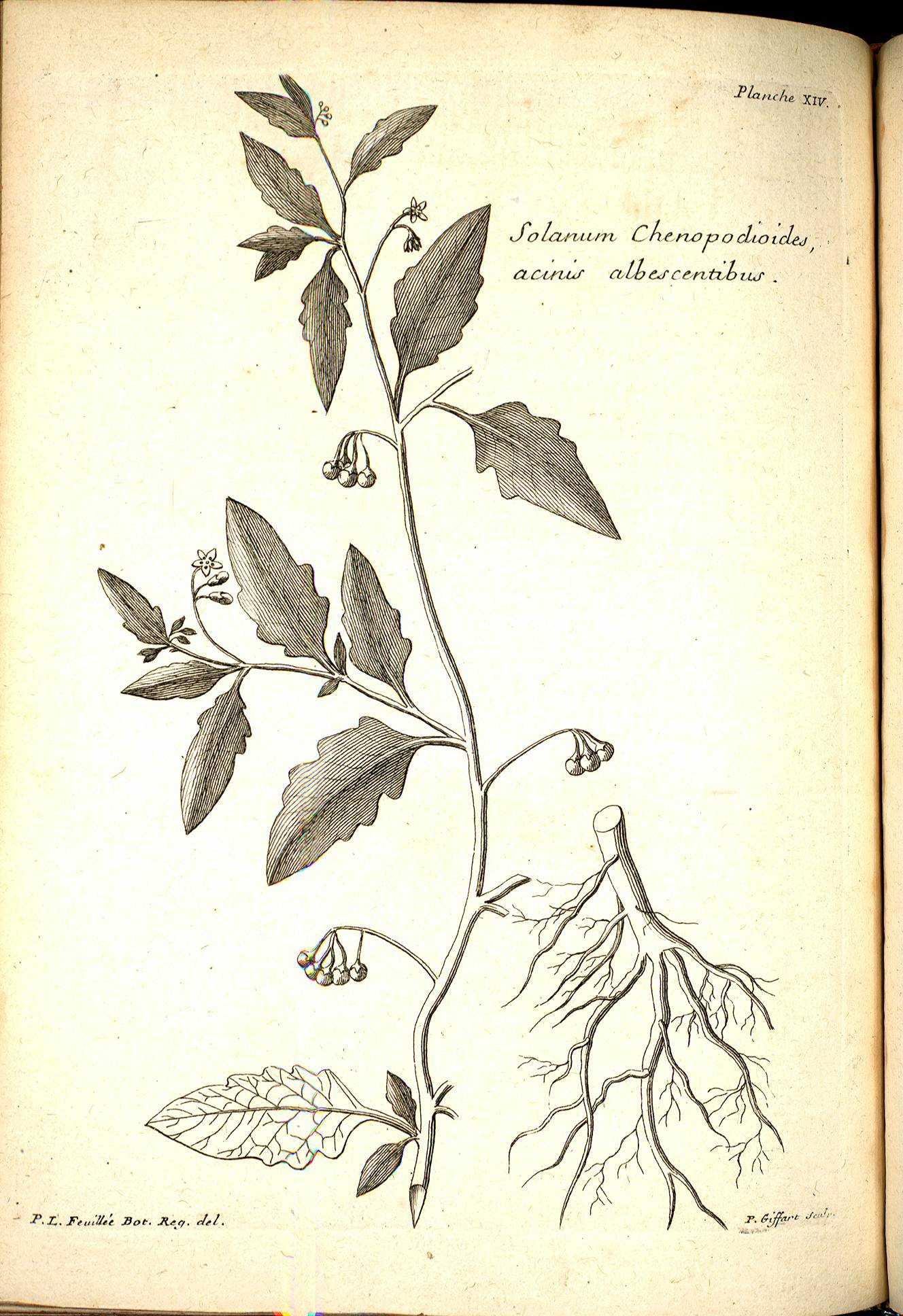 no full size  illustration available (3a)