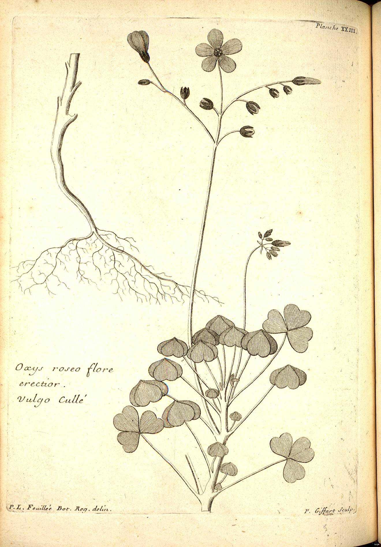 no full size  illustration available (3a)