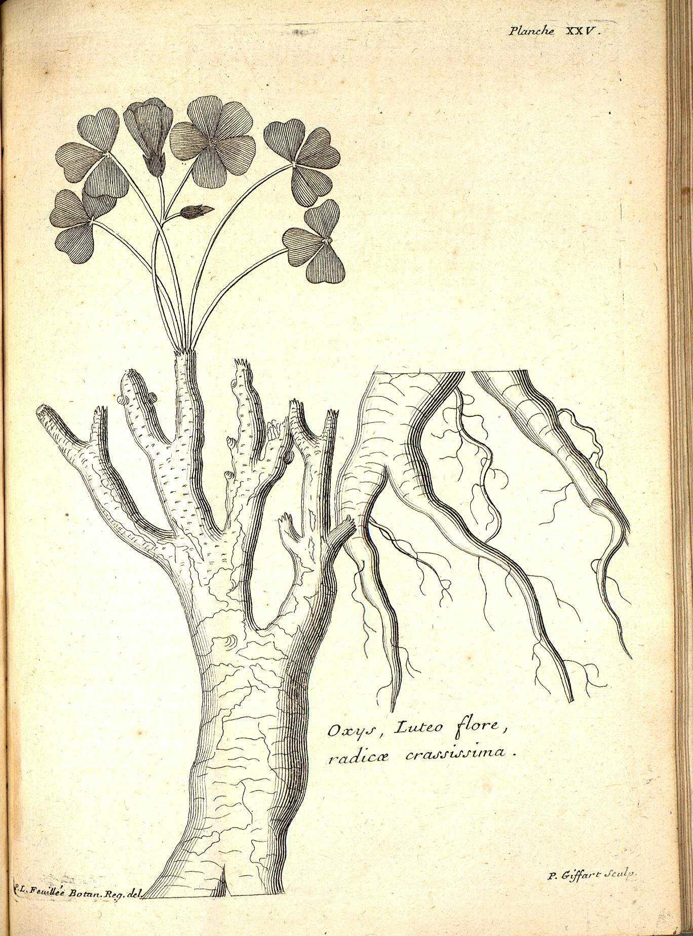 no full size  illustration available (3a)