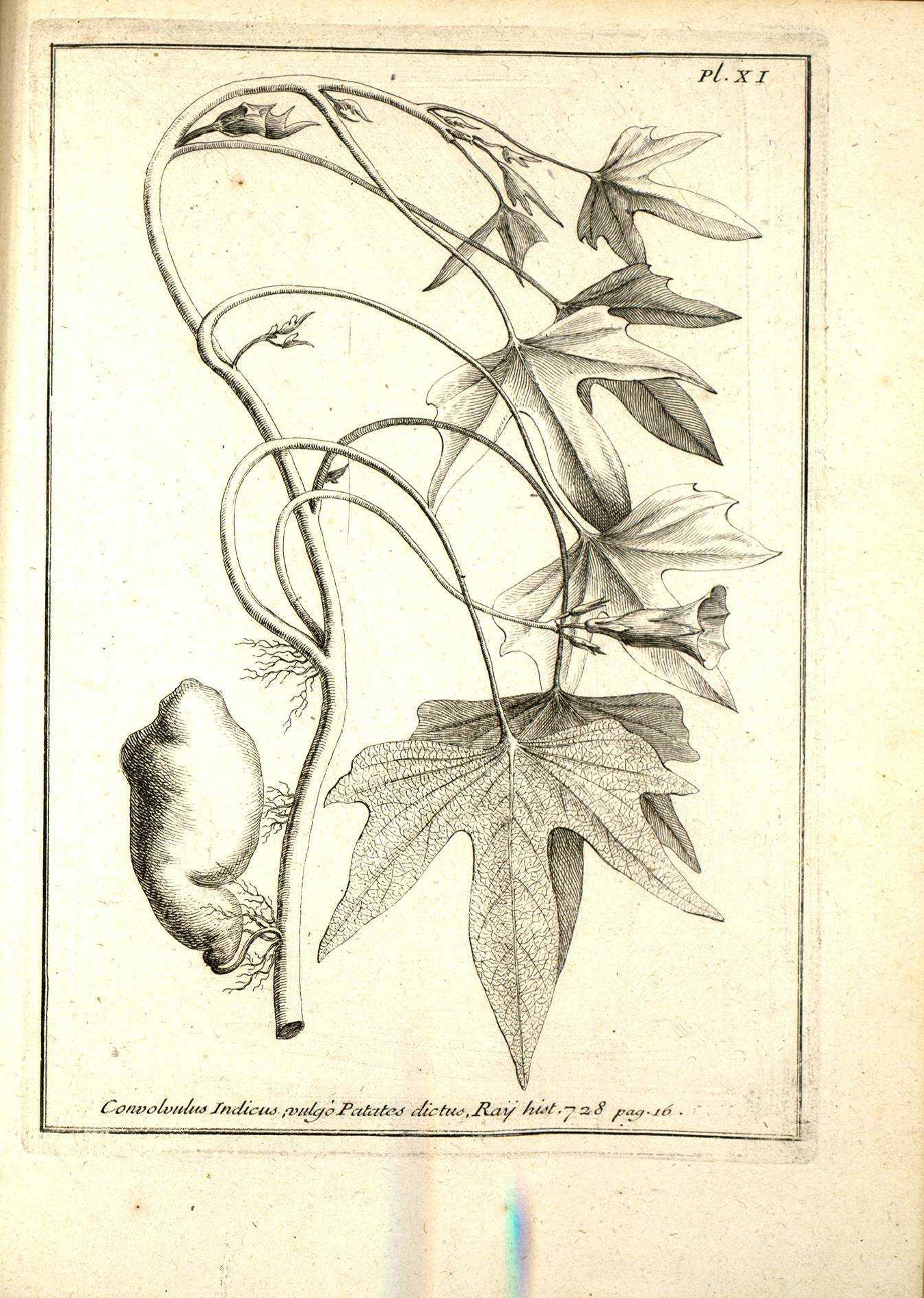 no full size  illustration available (3a)