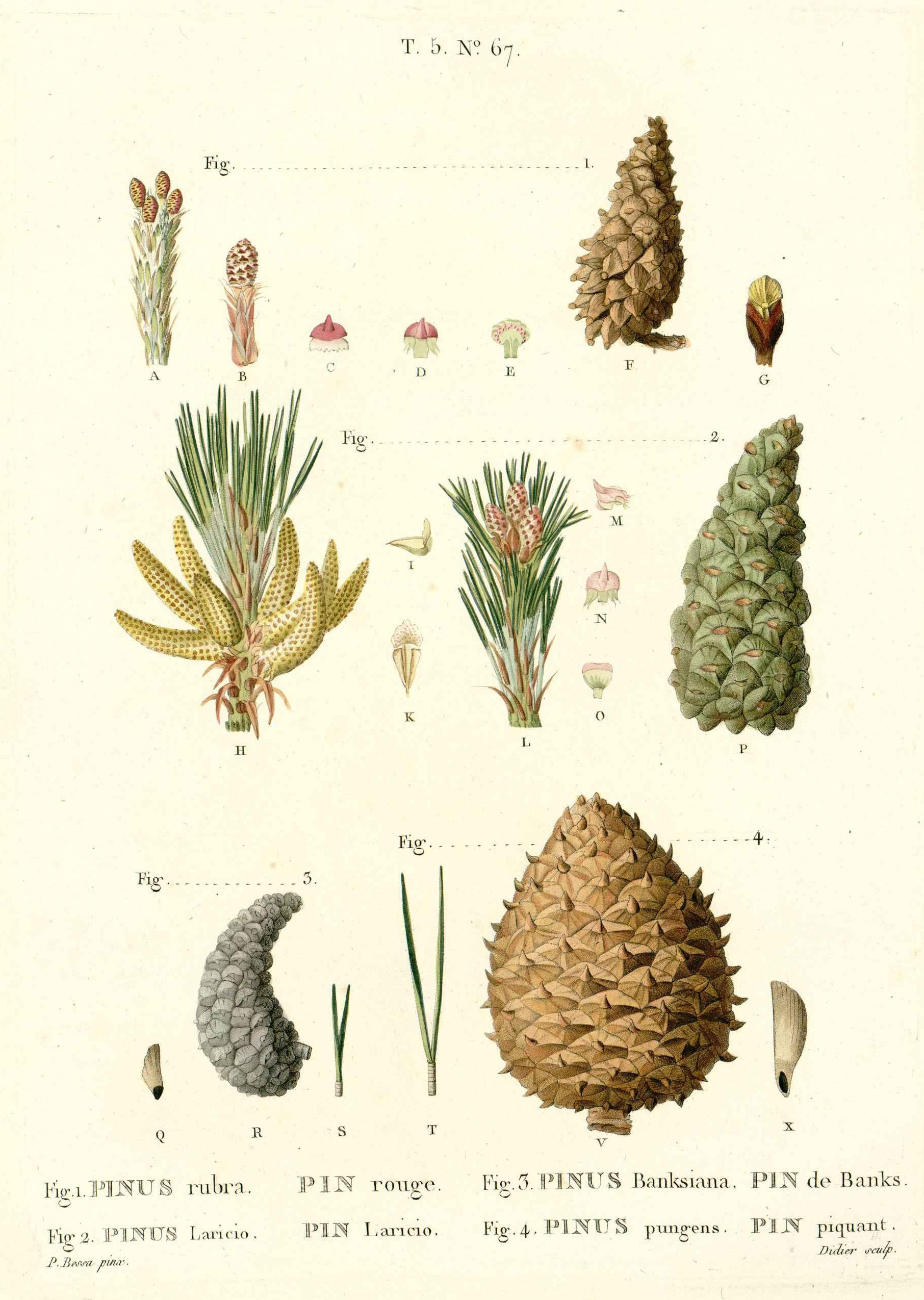 no full size  illustration available (3a)