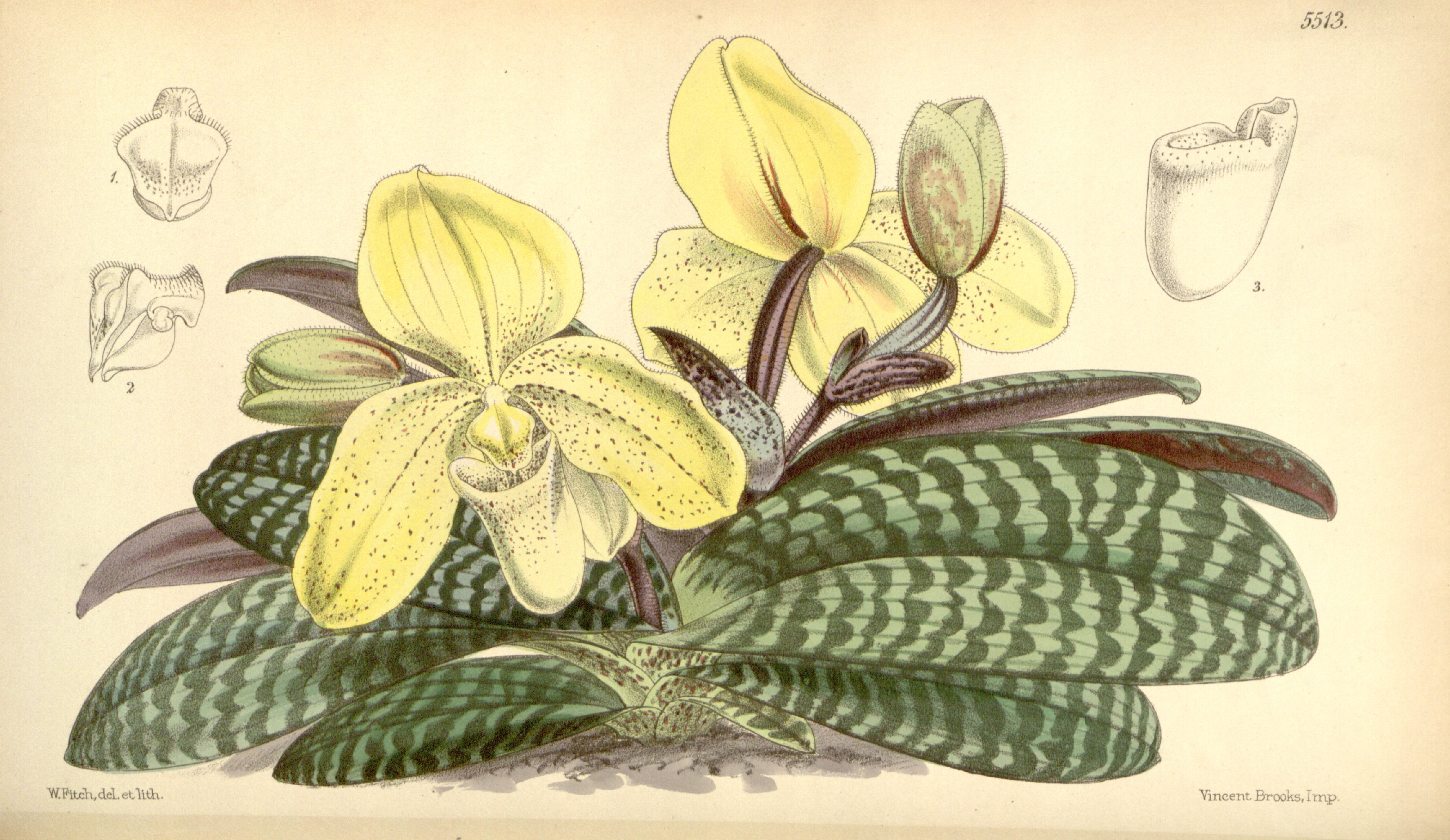 no full size  illustration available (3a)