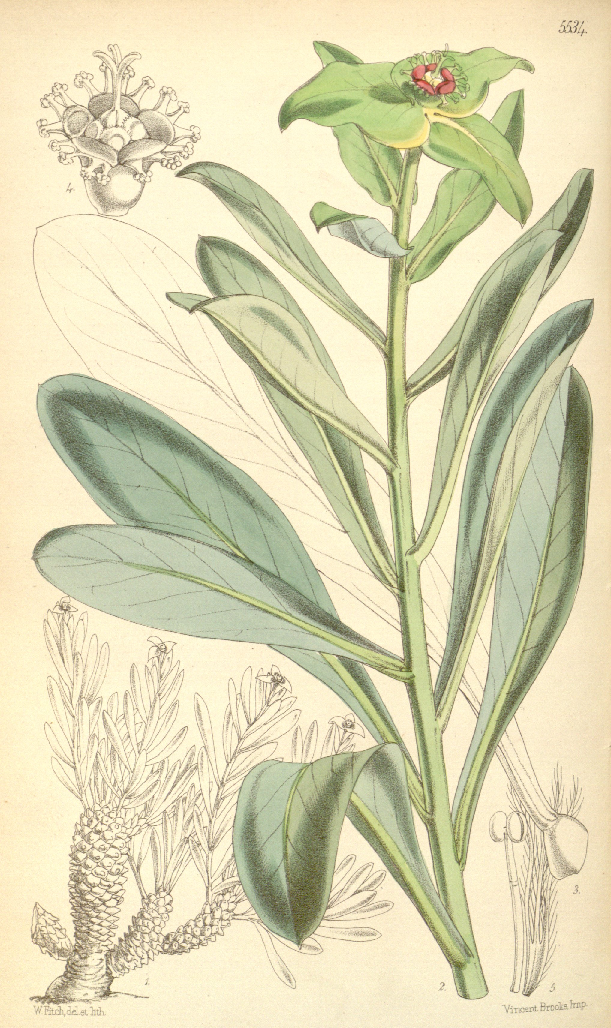 no full size  illustration available (3a)