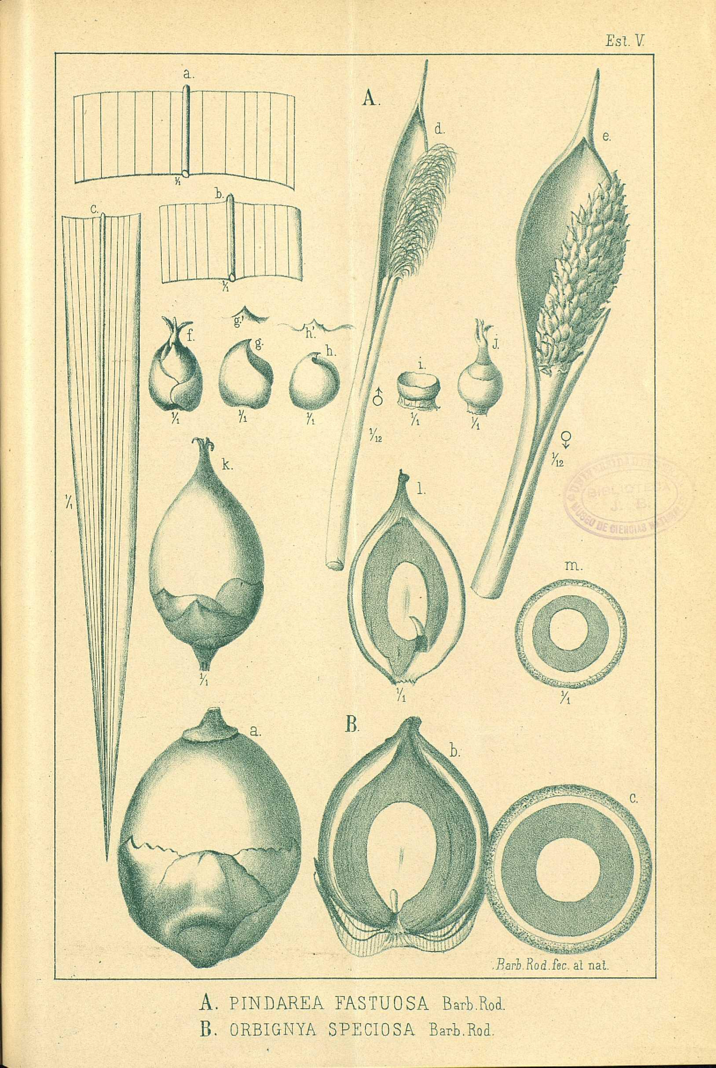 no full size  illustration available (3a)