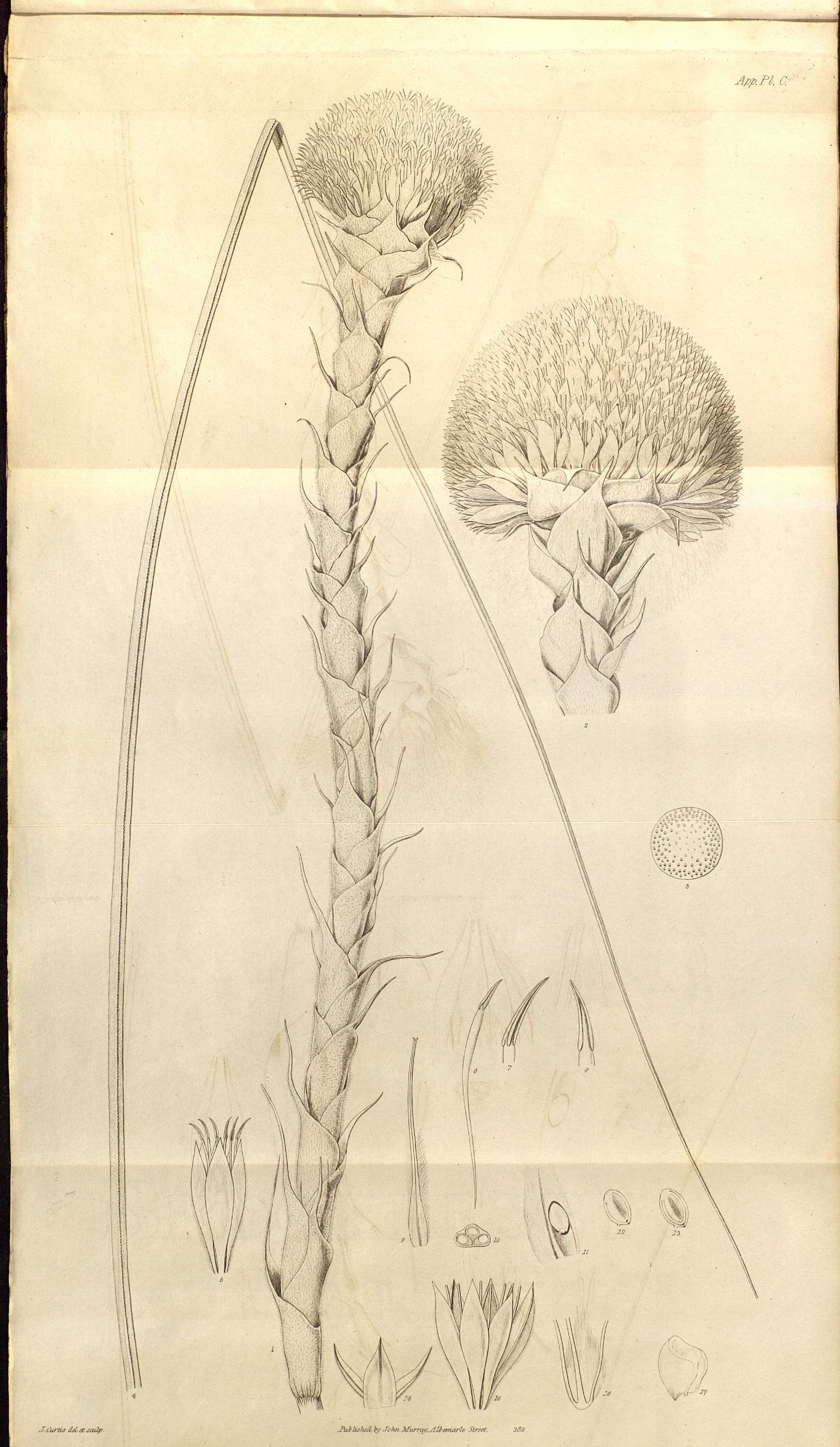 no full size  illustration available (3a)