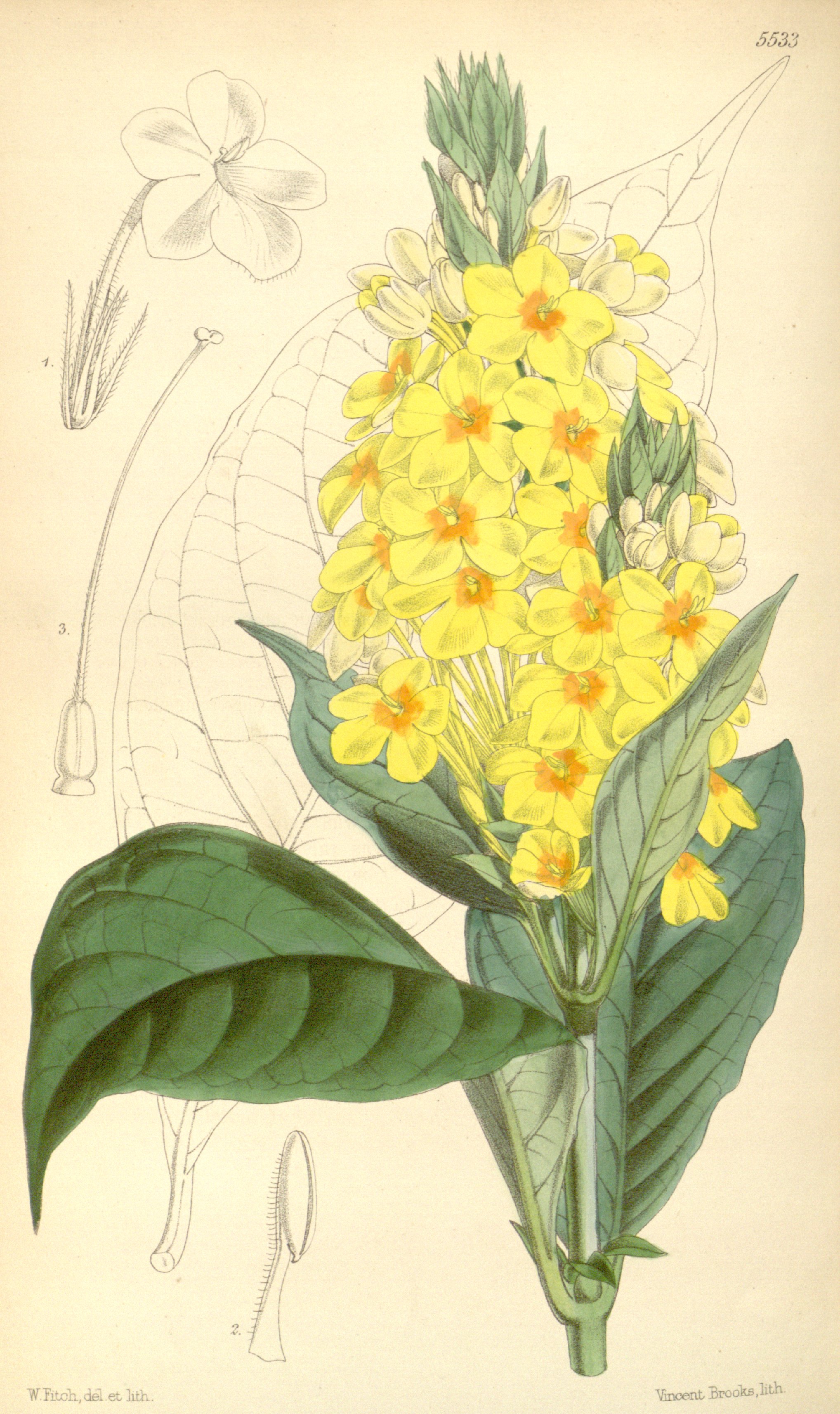 no full size  illustration available (3a)