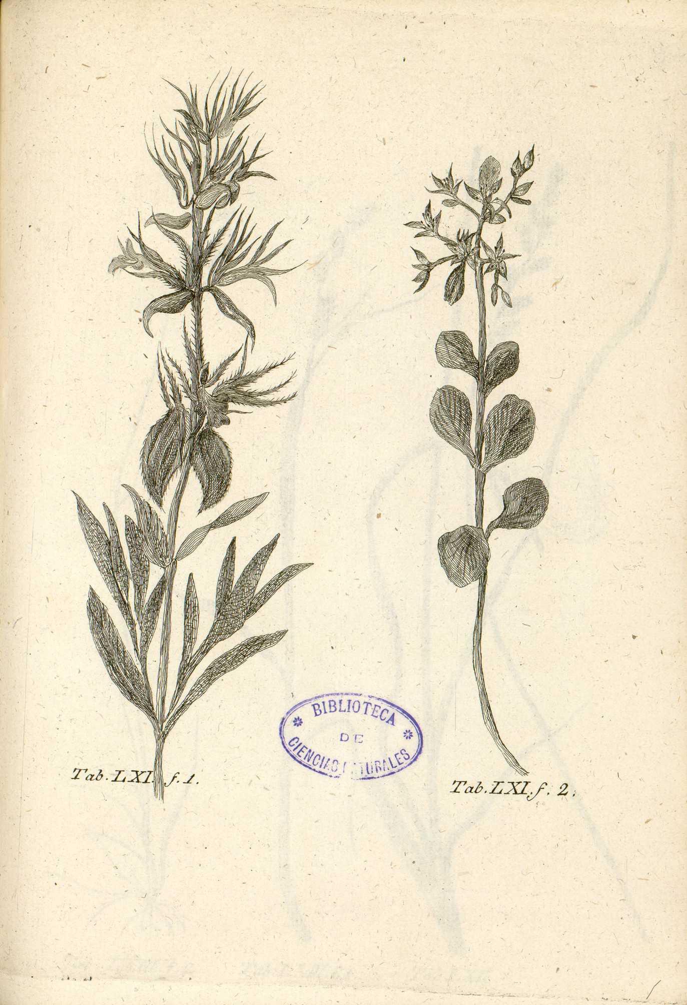 no full size  illustration available (3a)