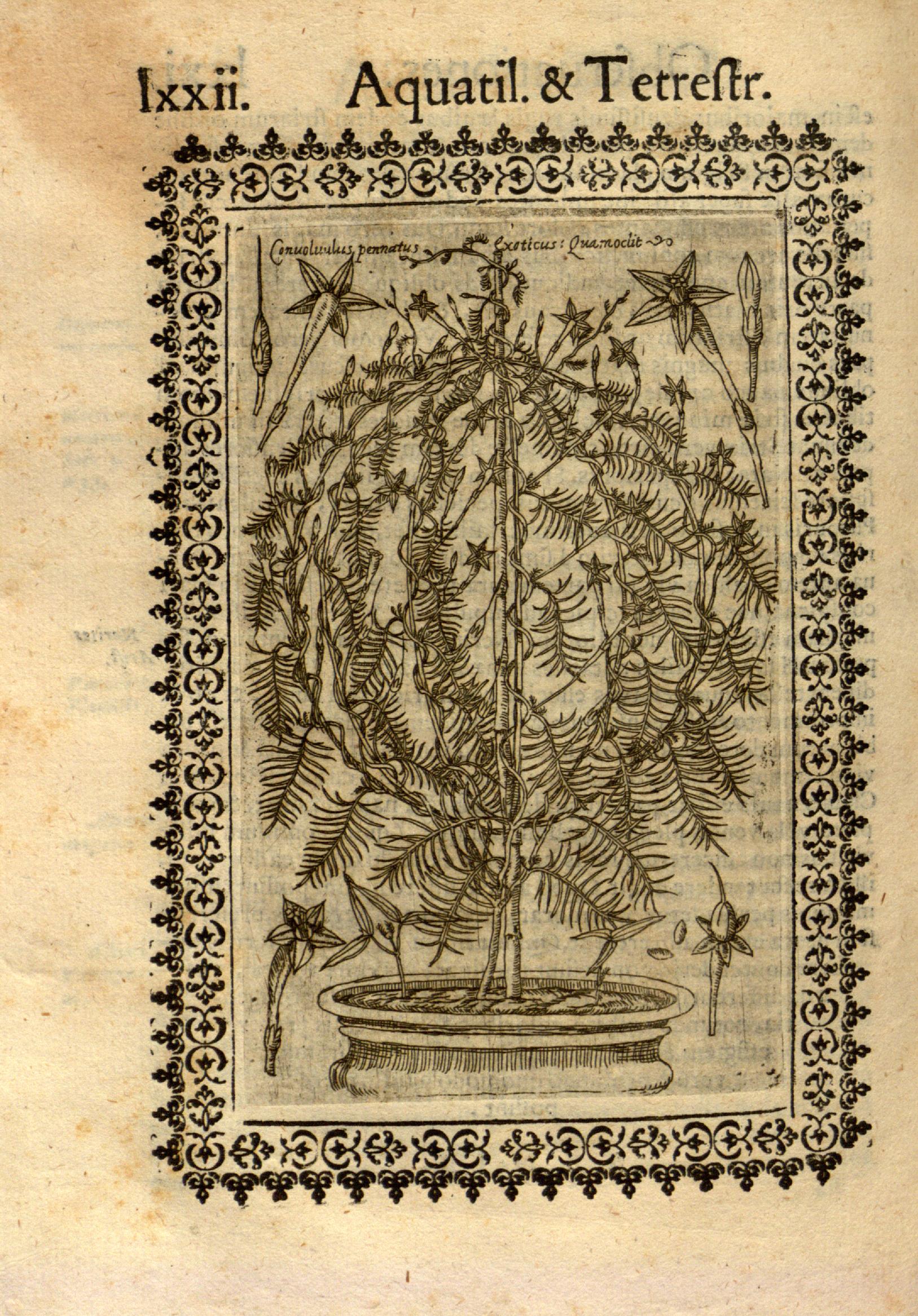 no full size  illustration available (3a)