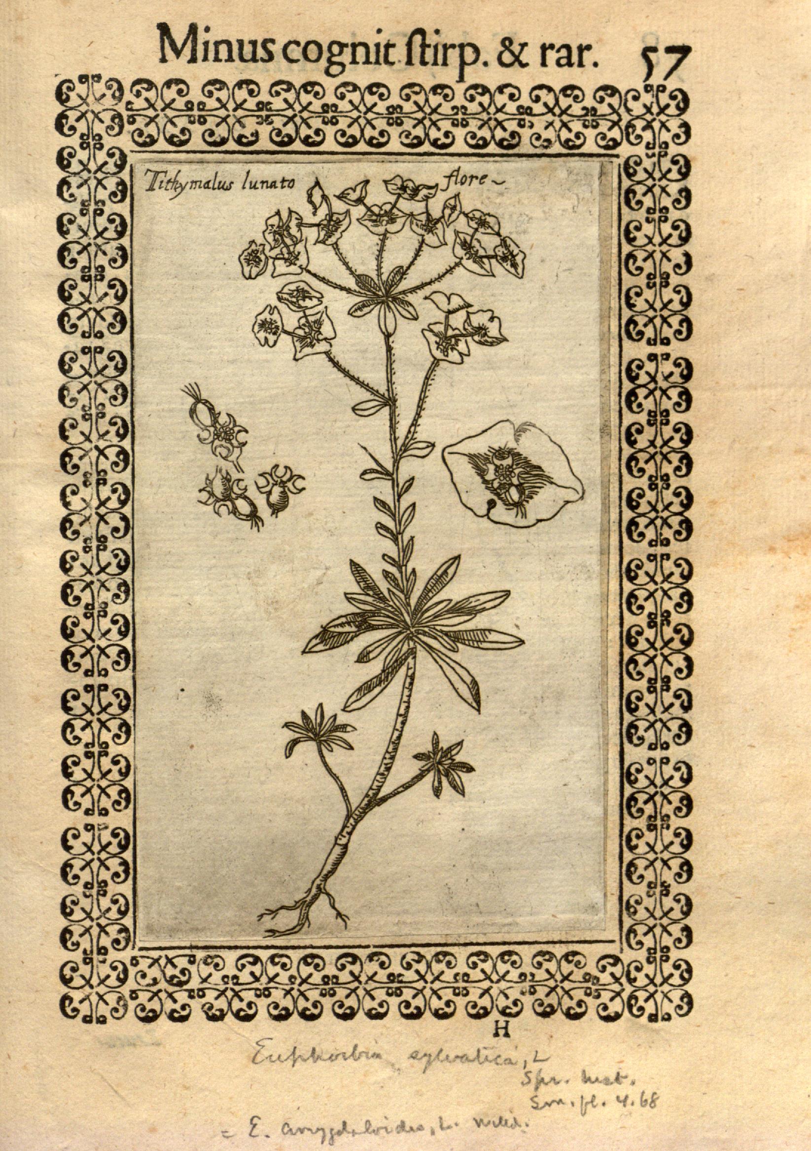 no full size  illustration available (3a)