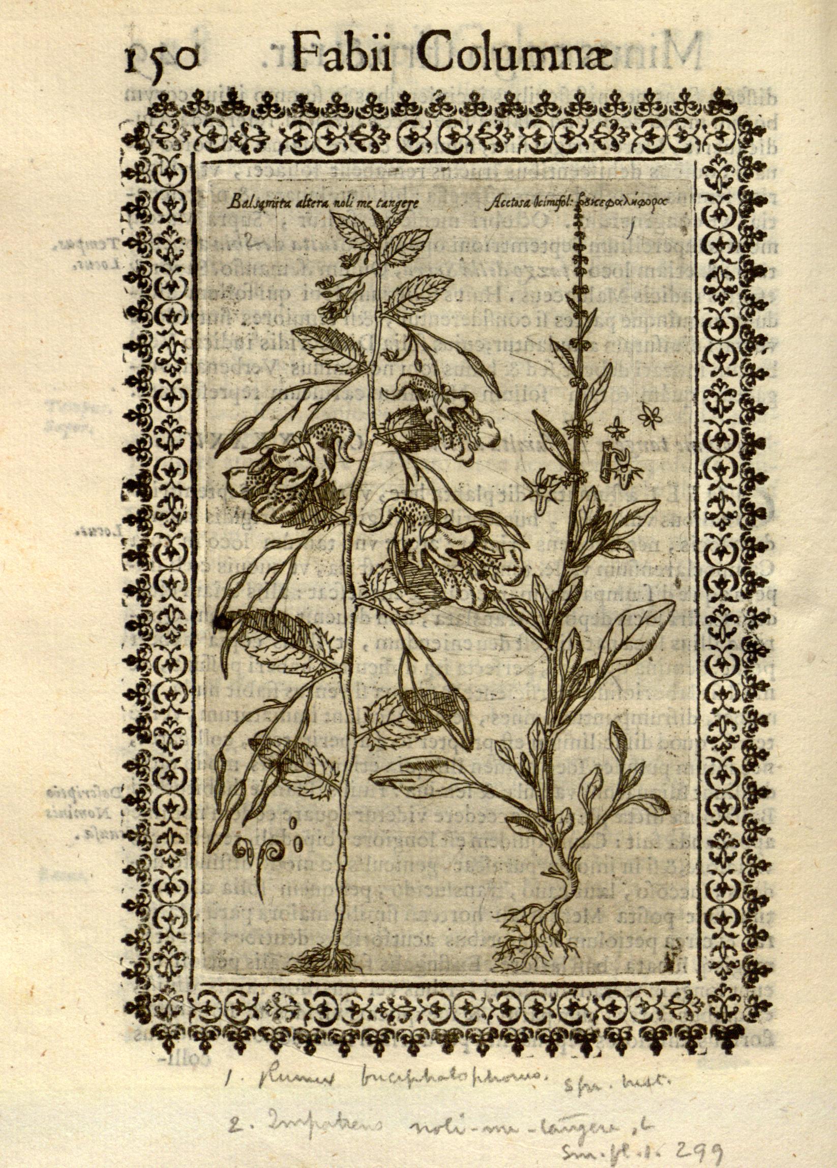 no full size  illustration available (3a)