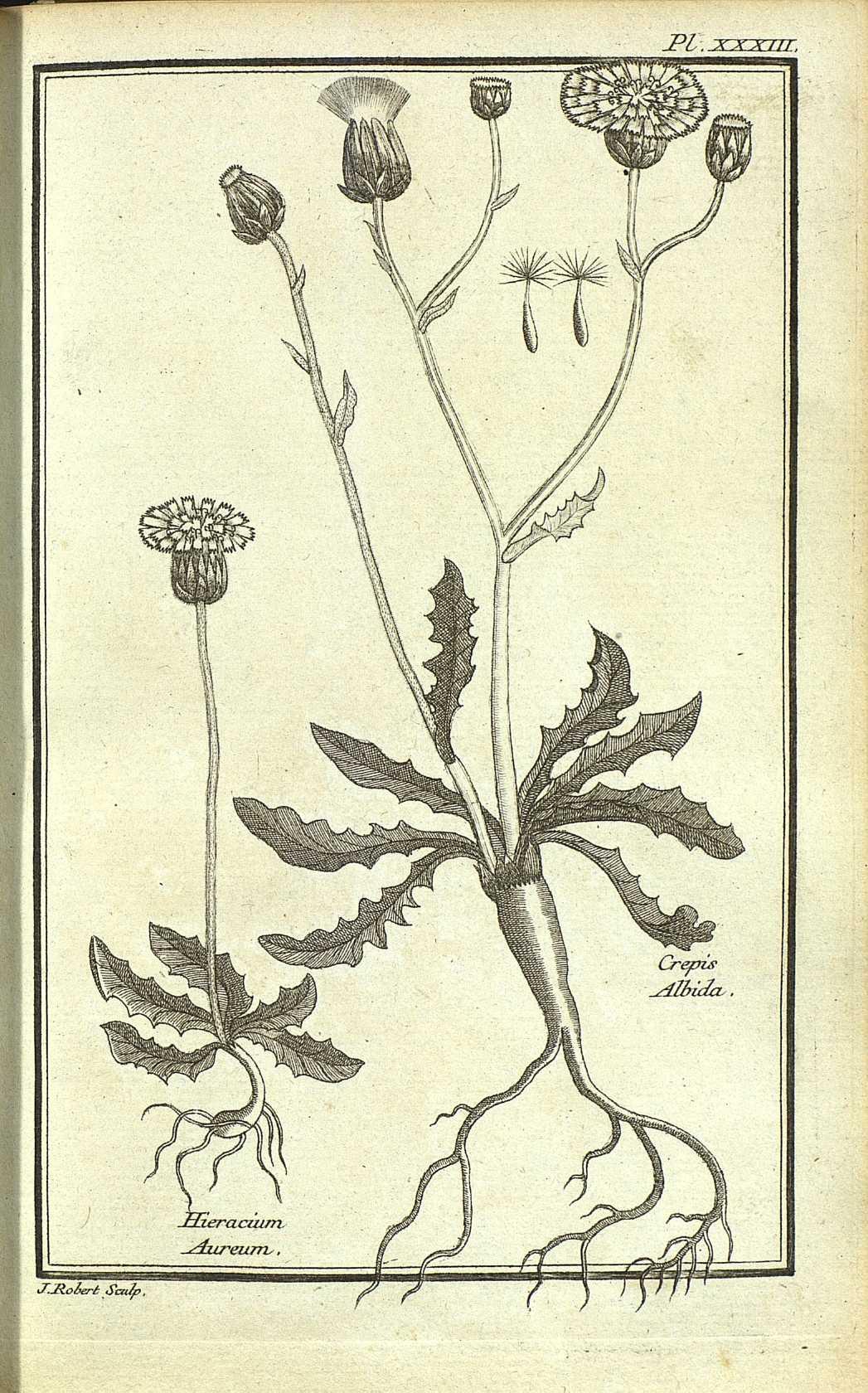 no full size  illustration available (3a)